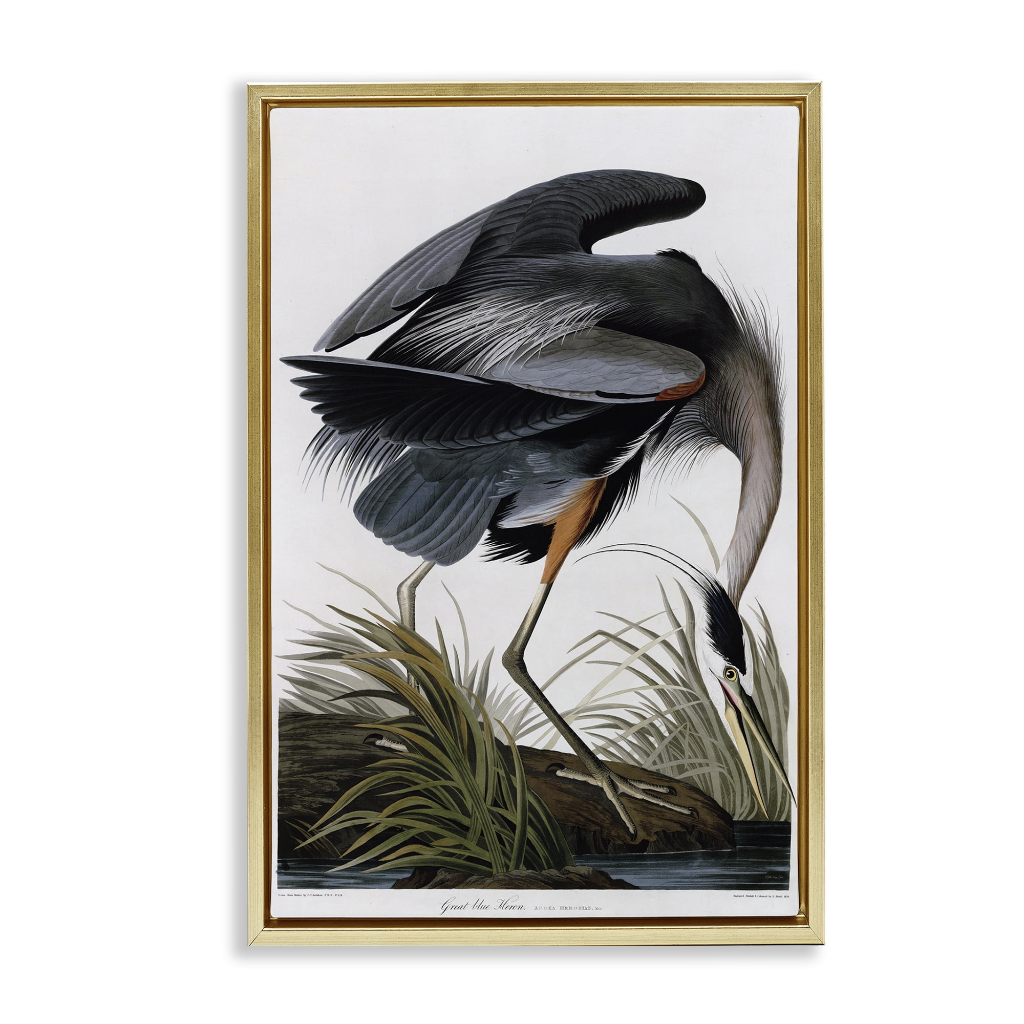 Stupell Industries Classic Heron at Lake Animals & Insects Painting Gold Floater Framed Canvas Art Print Wall Art, 17 x 25