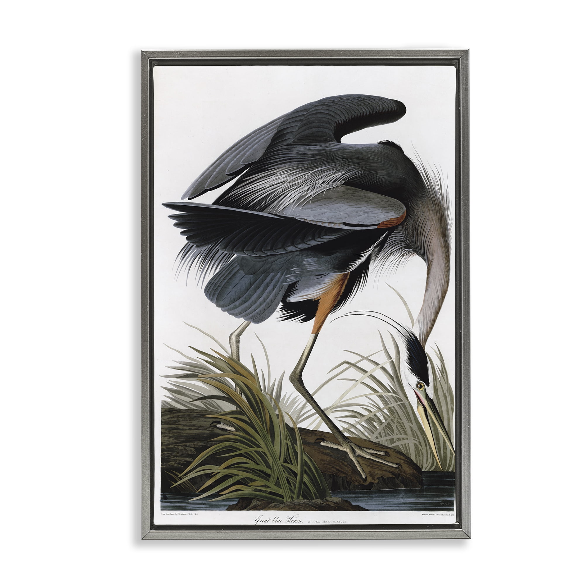 Stupell Industries Classic Heron at Lake Animals & Insects Painting Gray Floater Framed Canvas Art Print Wall Art, 21 x 31
