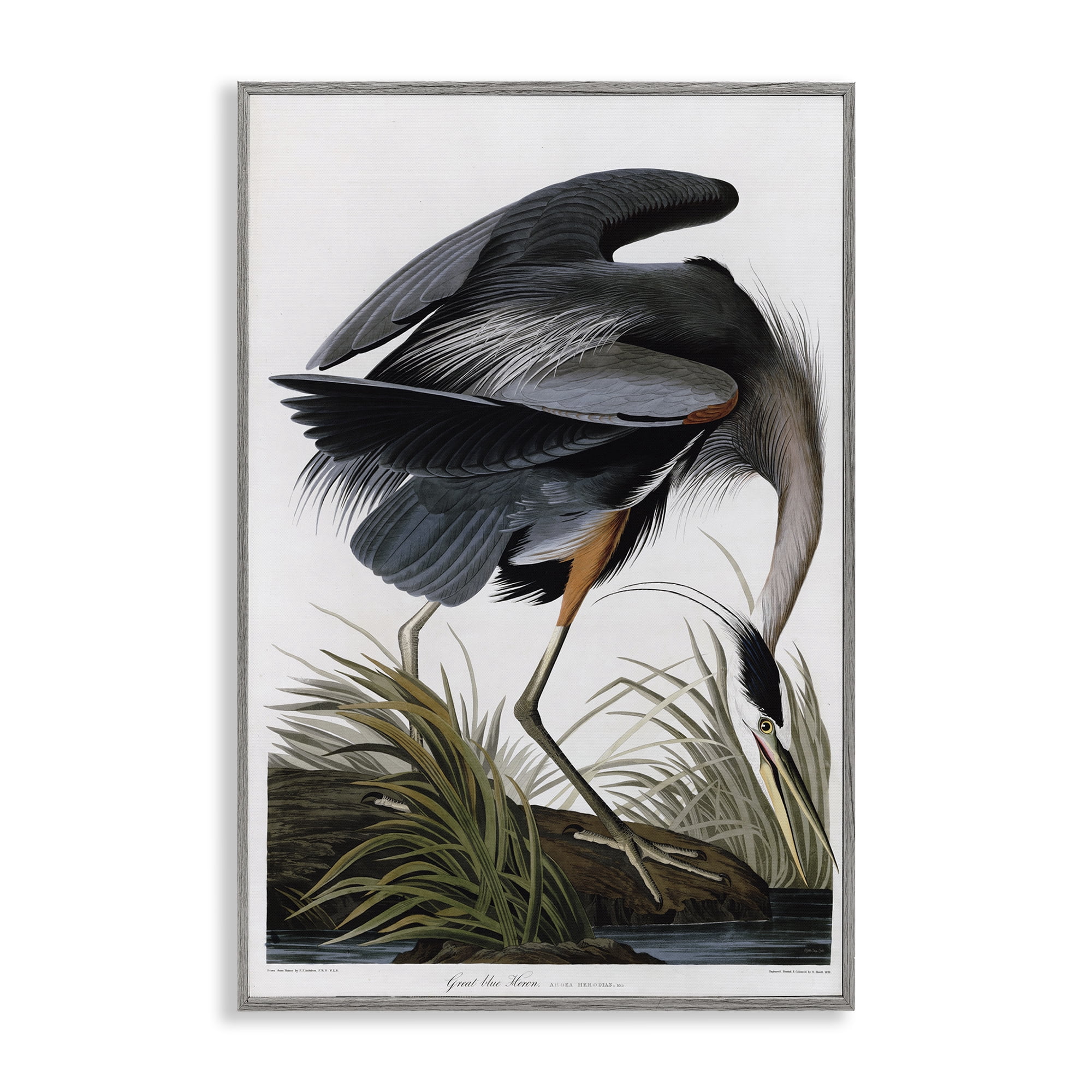 Stupell Industries Classic Heron at Lake Animals & Insects Painting Gray Framed Art Print Wall Art, 16 x 24
