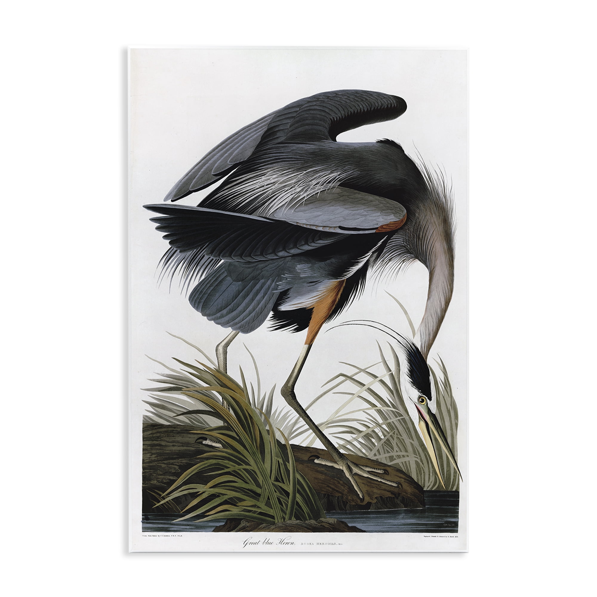 Stupell Industries Classic Heron at Lake Animals & Insects Painting Unframed Art Print Wall Art, 13 x 19