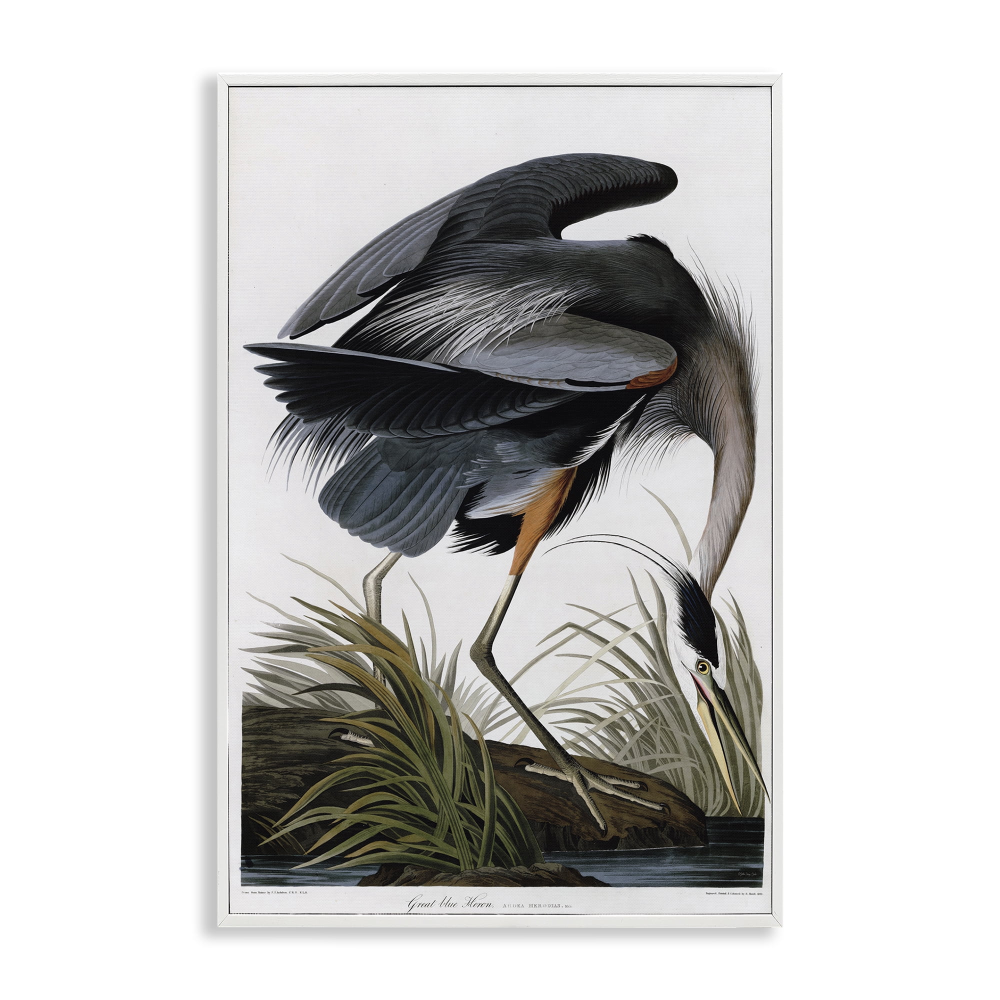 Stupell Industries Classic Heron at Lake Animals & Insects Painting White Framed Art Print Wall Art, 20 x 30