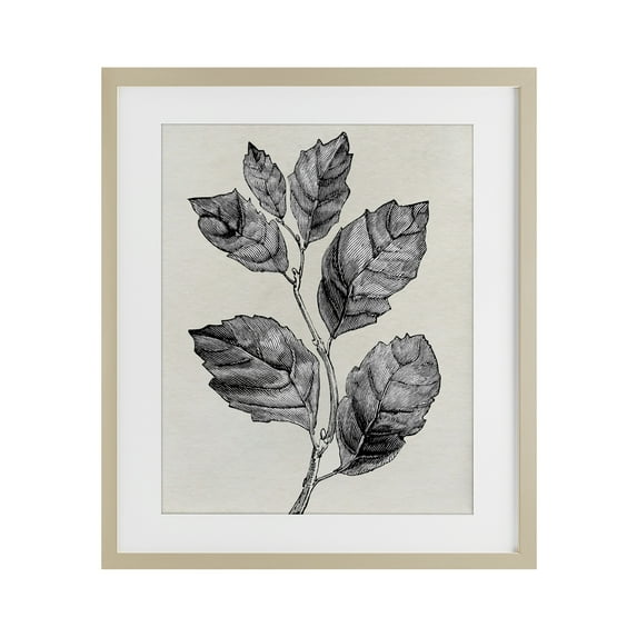 Stupell Industries Classic Leaf Branch Cut Birch Framed Print Under Glass design by Karen Smith, 16 x 13