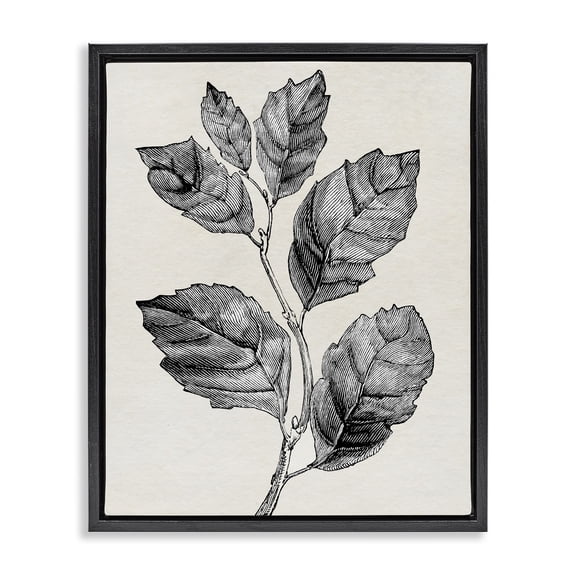 Stupell Industries Classic Leaf Branch Cut Black Framed Floater Canvas Wall Art design by Karen Smith, 21 x 17