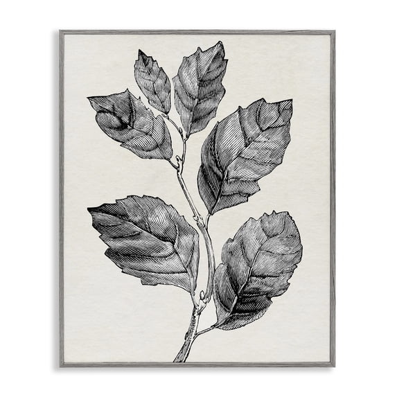 Stupell Industries Cottage Classic Leaf Branch Cut Gray Framed Giclee Art, 16 x 20, by Karen Smith