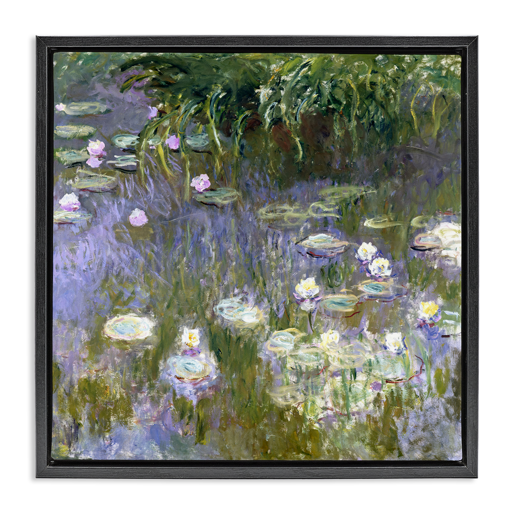 Stupell Industries Classic Monet White Water Lilies Landscape & Nature Painting Black Floater Framed Canvas Art Print Wall Art, 18 x 18