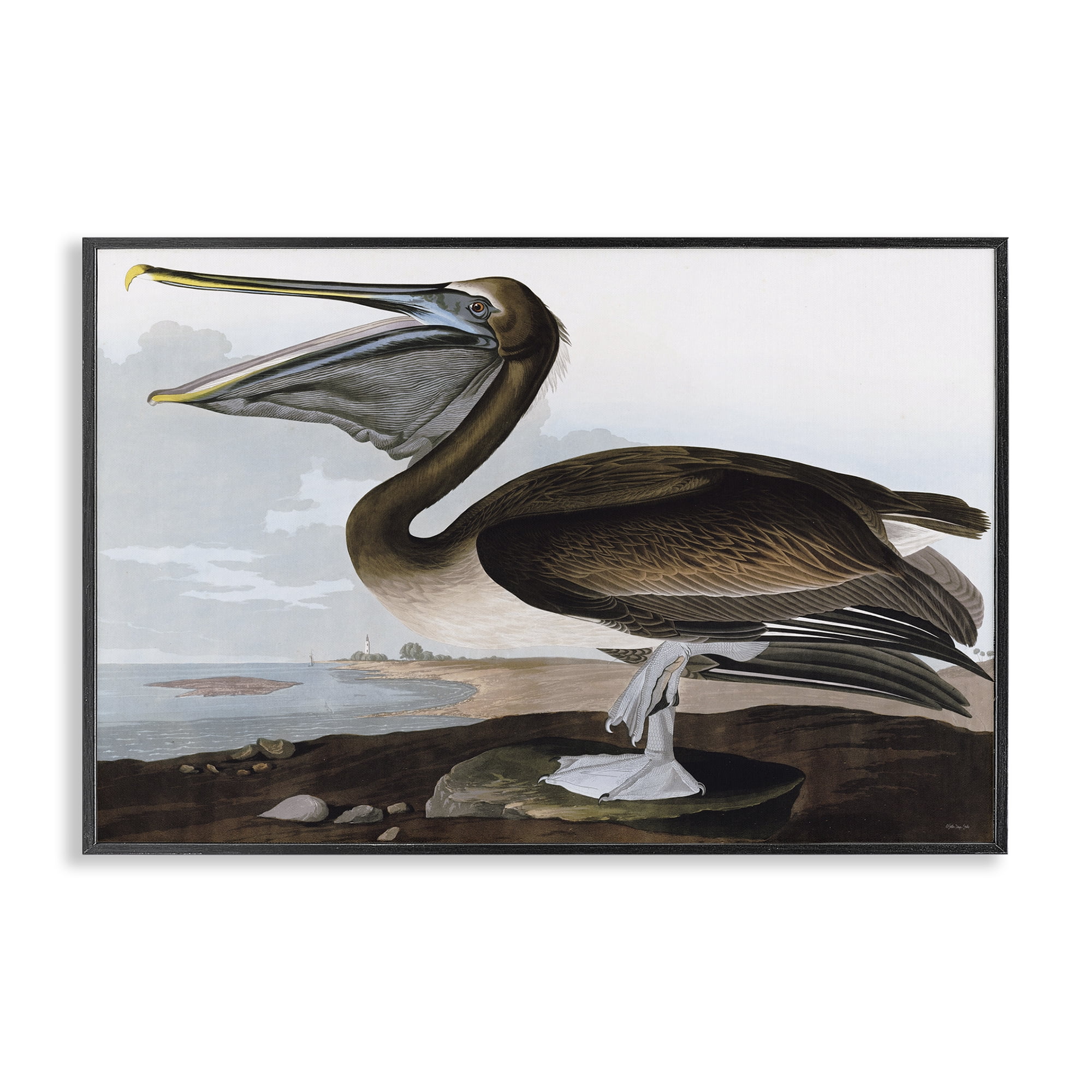 Stupell Industries Classic Pelican at Beach Animals & Insects Painting Black Framed Art Print Wall Art, 18 x 12
