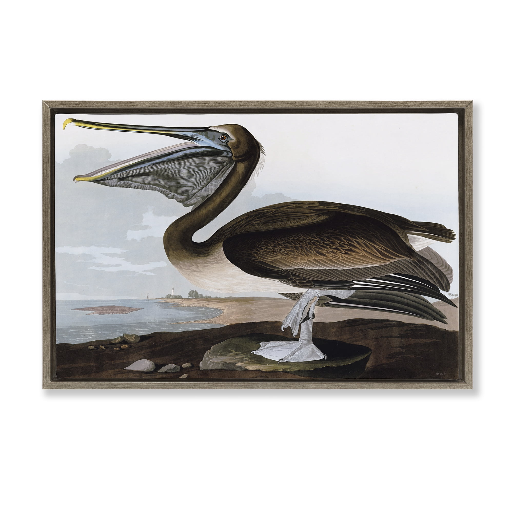 Stupell Industries Classic Pelican at Beach Animals & Insects Painting Brown Floater Framed Canvas Art Print Wall Art, 31 x 21