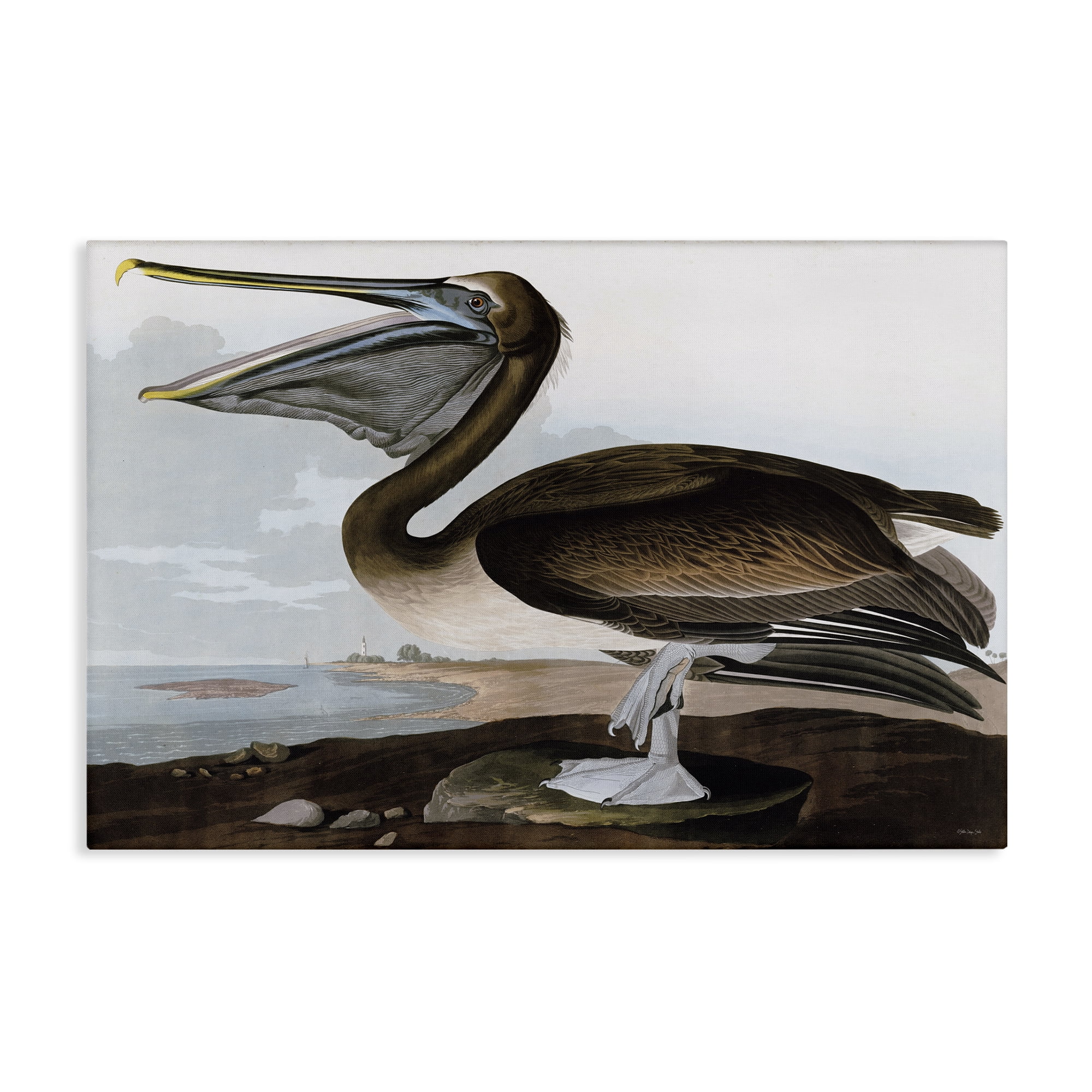 Stupell Industries Classic Pelican at Beach Animals & Insects Painting Gallery Wrapped Canvas Art Print Wall Art, 45 x 30