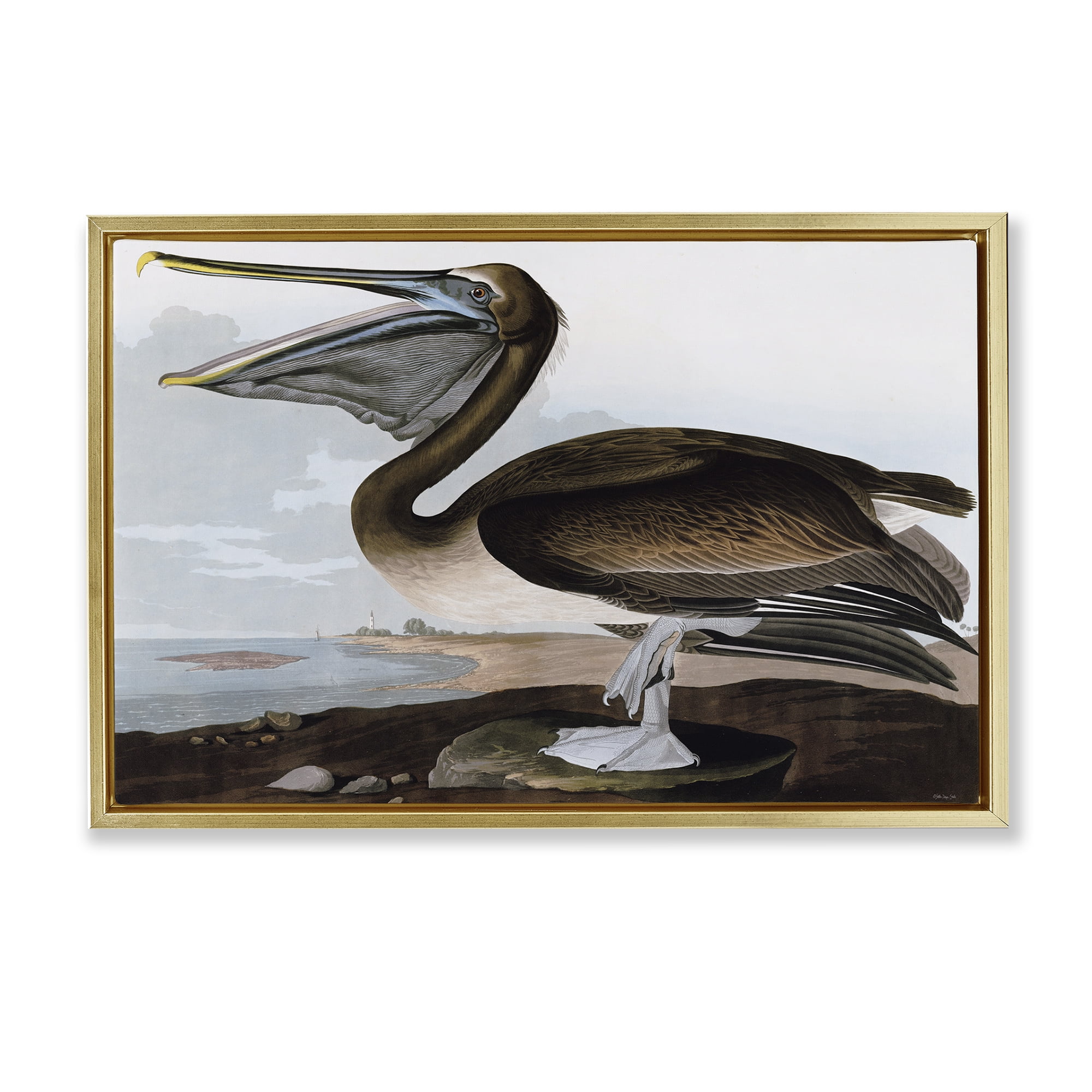Stupell Industries Classic Pelican at Beach Animals & Insects Painting Gold Floater Framed Canvas Art Print Wall Art, 31 x 21