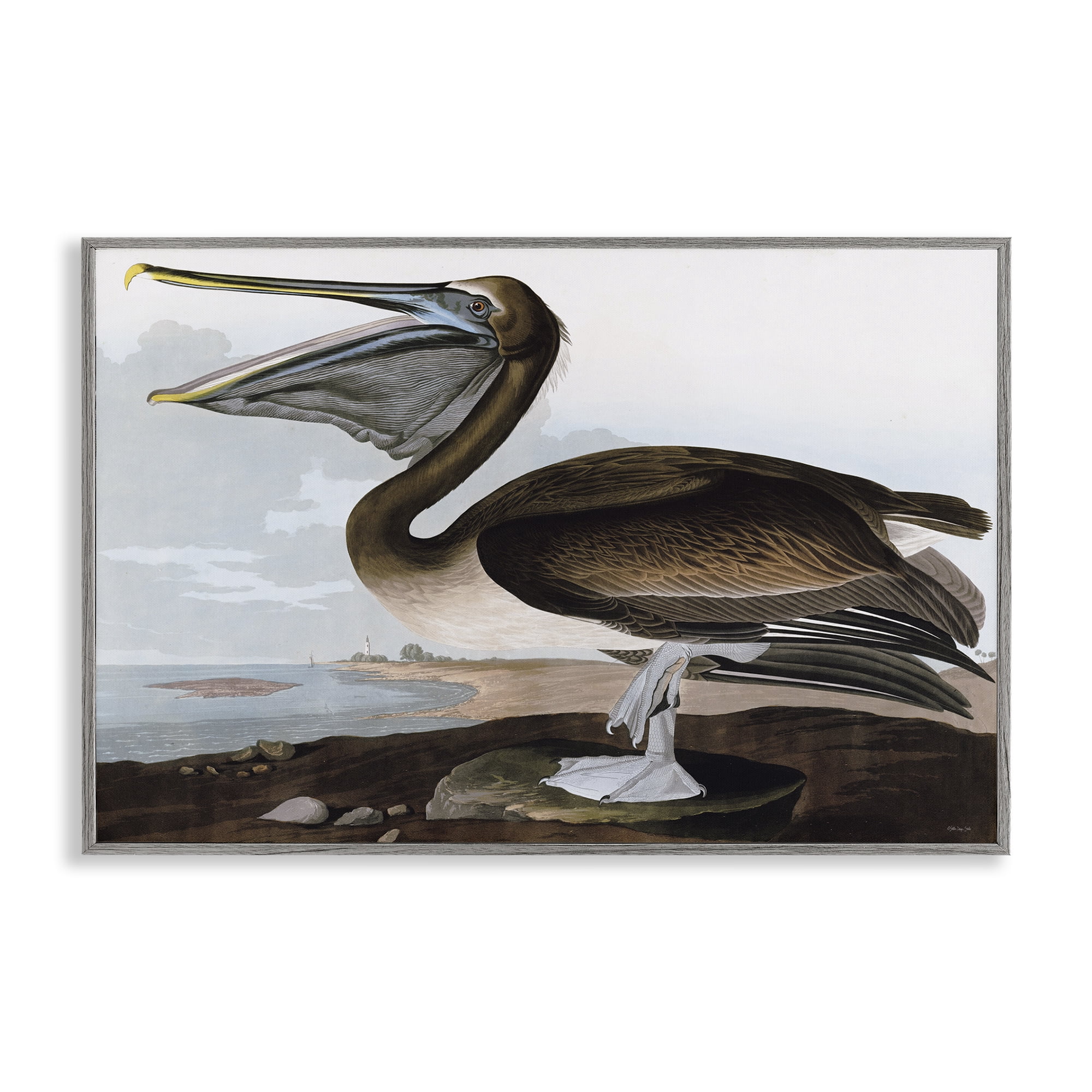 Stupell Industries Classic Pelican at Beach Animals & Insects Painting Gray Framed Art Print Wall Art, 30 x 20