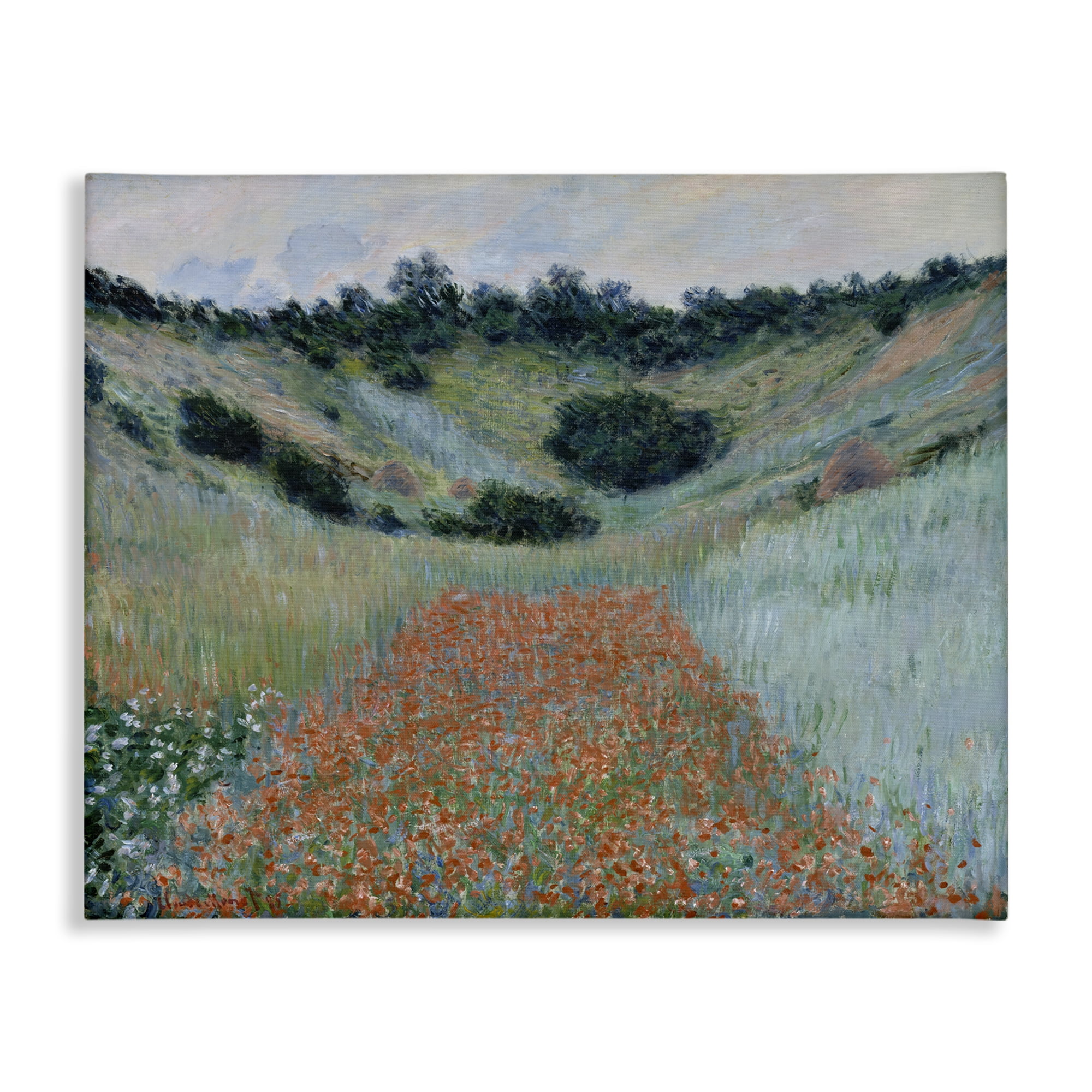 Stupell Industries Classic Poppy Field in Hollow Landscape & Nature Painting Wrapped Canvas Art Print Wall Art, 20 x 16