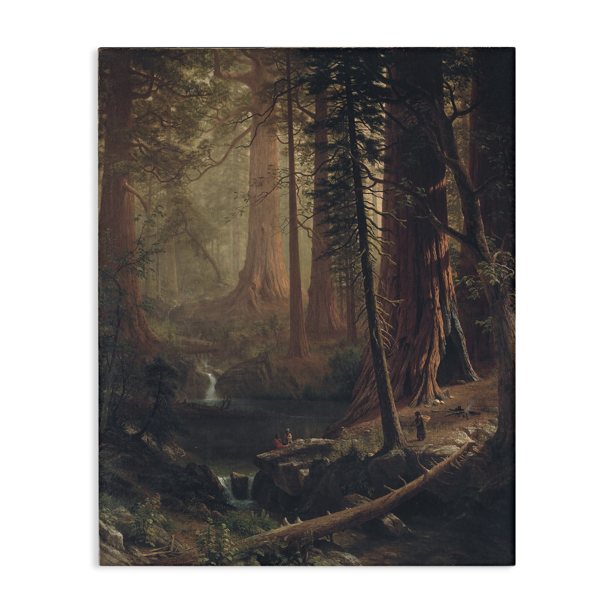 Stupell Industries Classic Trees of California Landscape & Nature Painting Wrapped Canvas Art Print Wall Art, 16 x 20