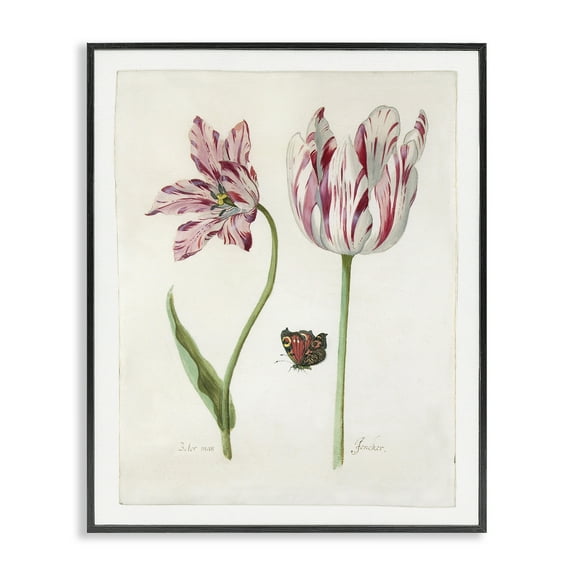 Stupell Industries Classic Tulip & Butterfly Plants & Flowers Painting Black Framed Art Print Wall Art, 11 x 14