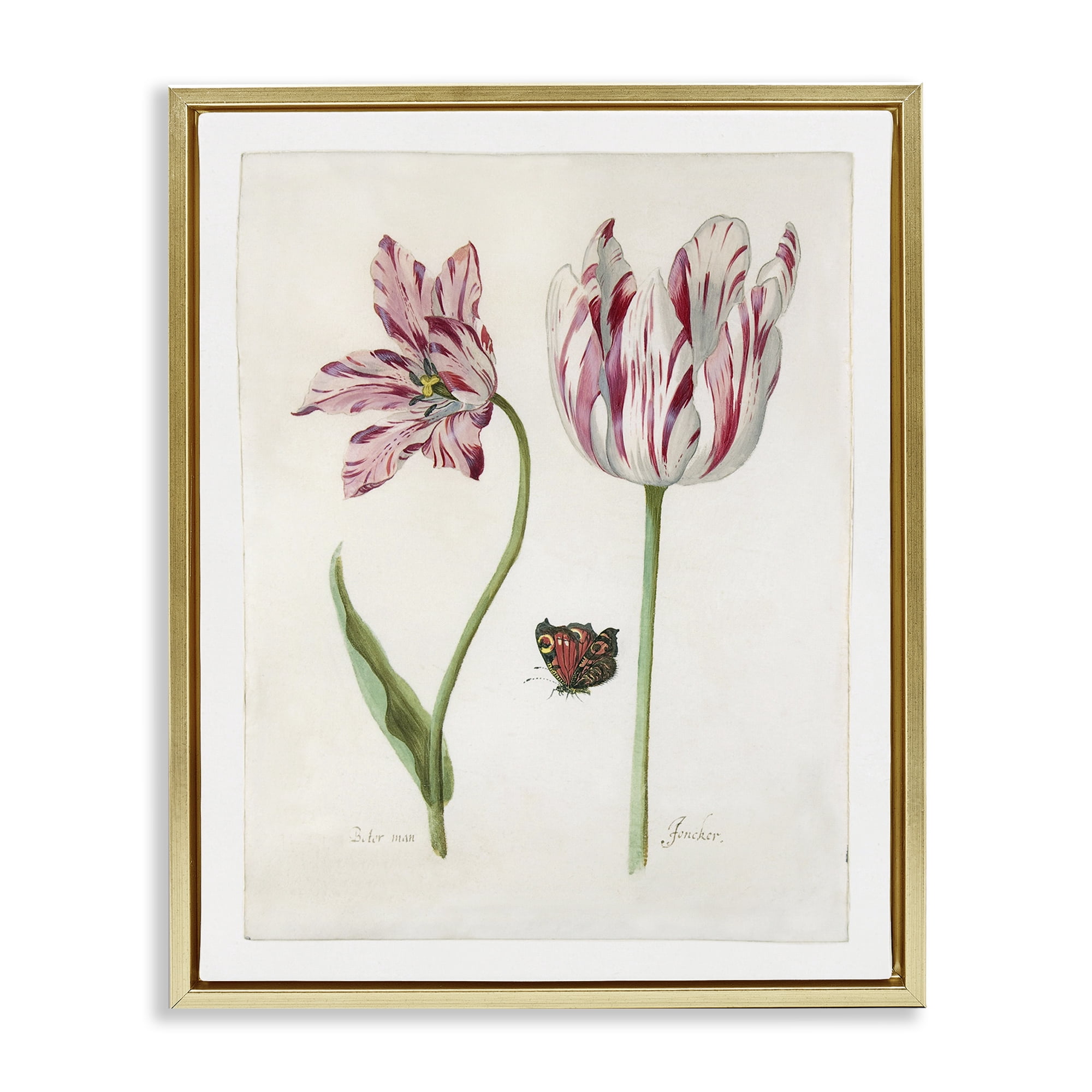 Stupell Industries Classic Tulip & Butterfly Plants & Flowers Painting Gold Floater Framed Canvas Art Print Wall Art, 17 x 21