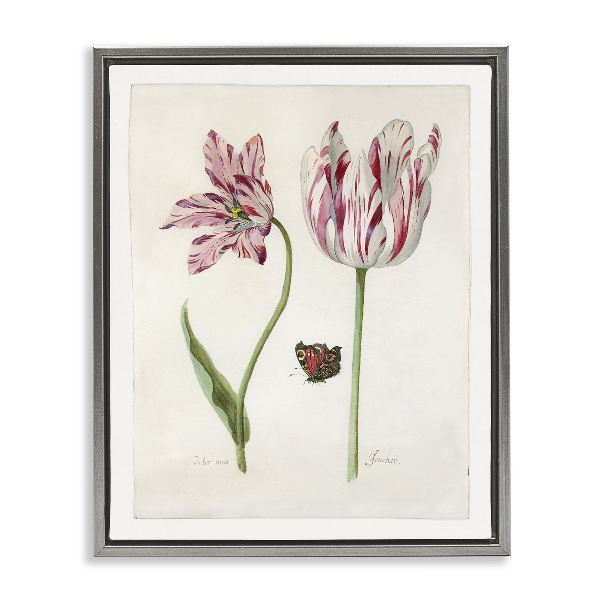 Stupell Industries Classic Tulip & Butterfly Plants & Flowers Painting Gray Floater Framed Canvas Art Print Wall Art, 25 x 31
