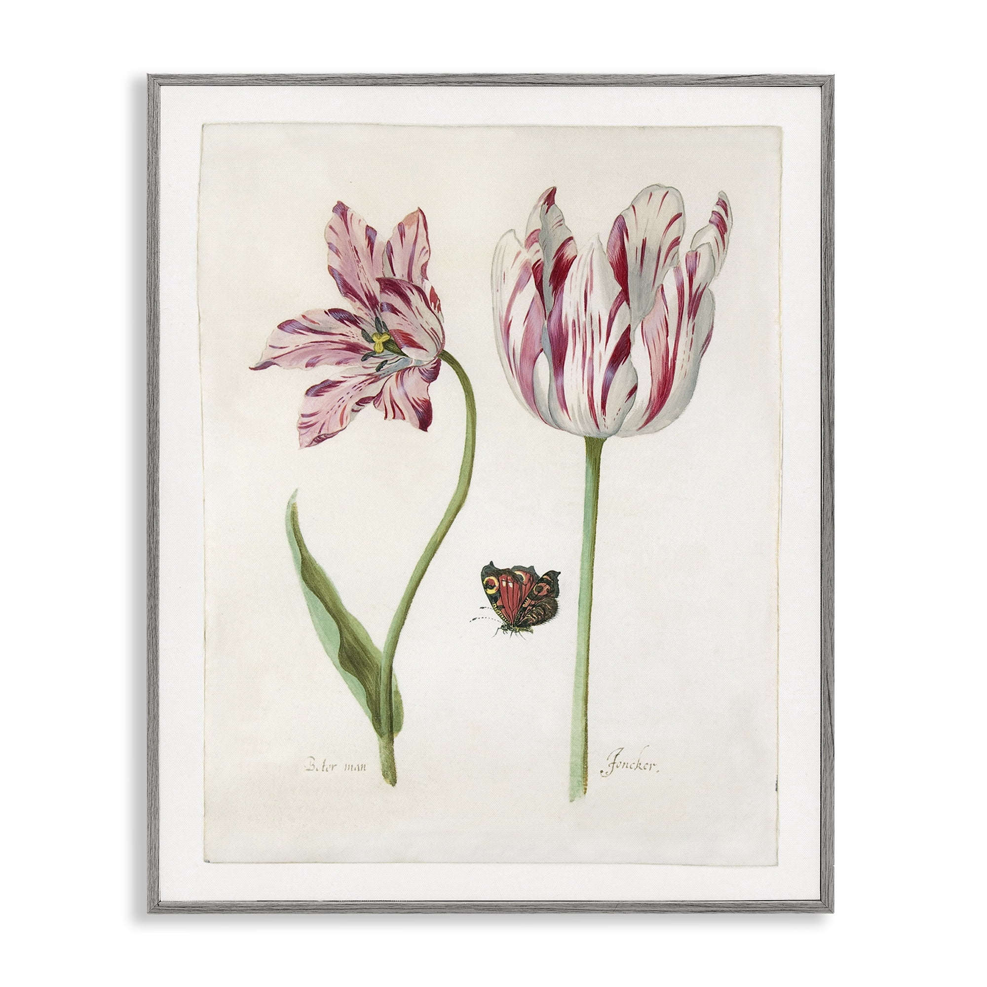 Stupell Industries Classic Tulip & Butterfly Plants & Flowers Painting Gray Framed Art Print Wall Art, 16 x 20