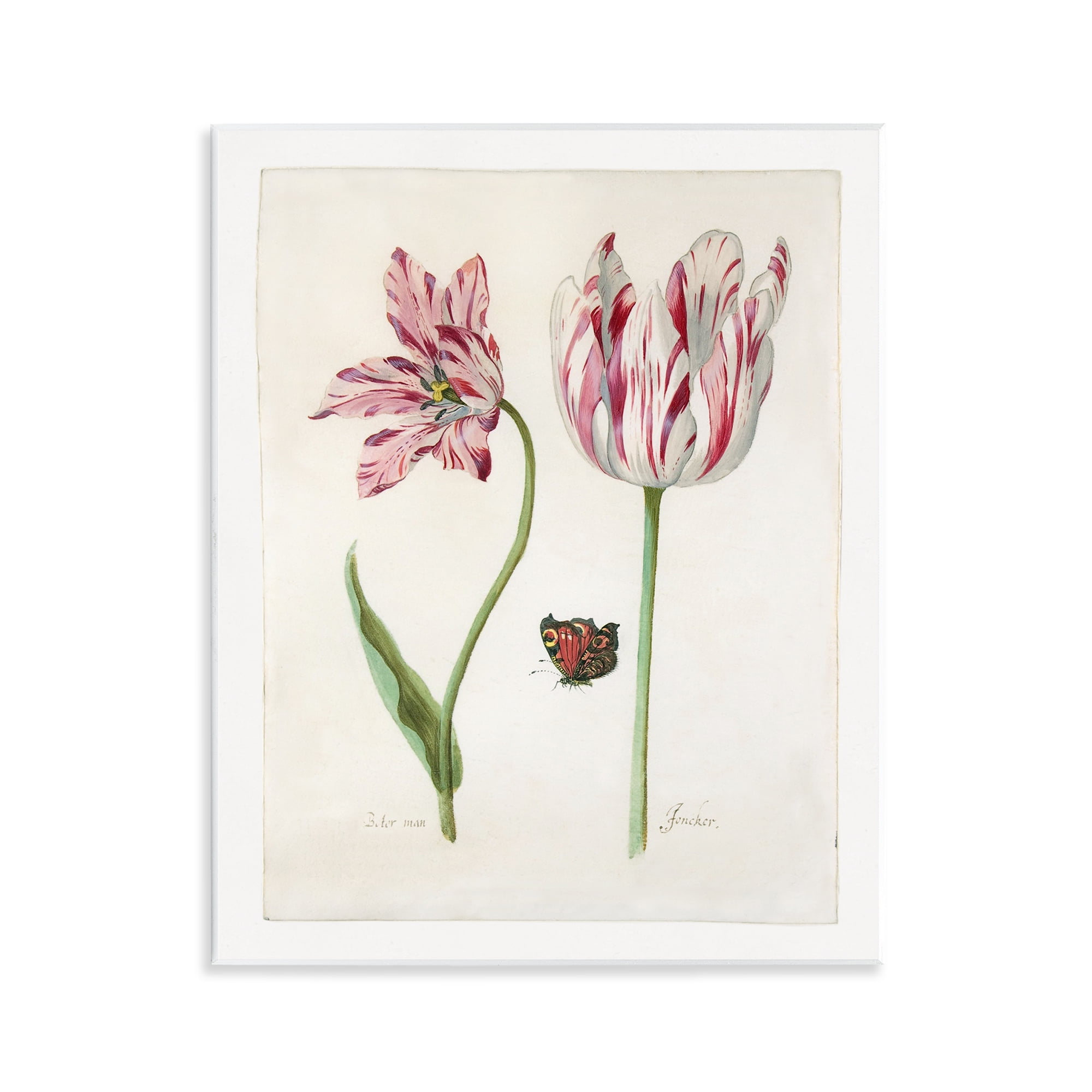 Stupell Industries Classic Tulip & Butterfly Plants & Flowers Painting Unframed Art Print Wall Art, 11 x 14