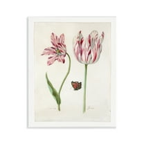 Stupell Industries Classic Tulip & Butterfly Plants & Flowers Painting Unframed Art Print Wall Art, 11 x 14