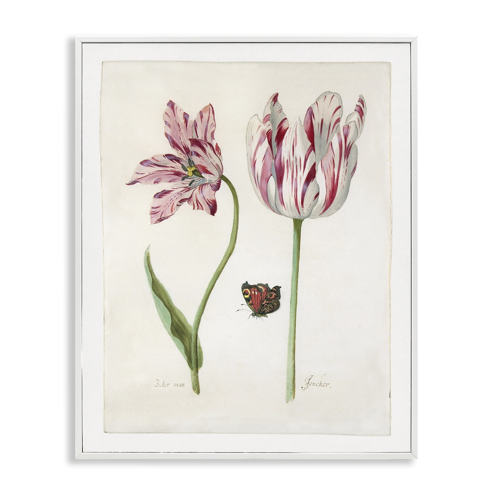 Stupell Industries Classic Tulip & Butterfly Plants & Flowers Painting White Framed Art Print Wall Art, 11 x 14