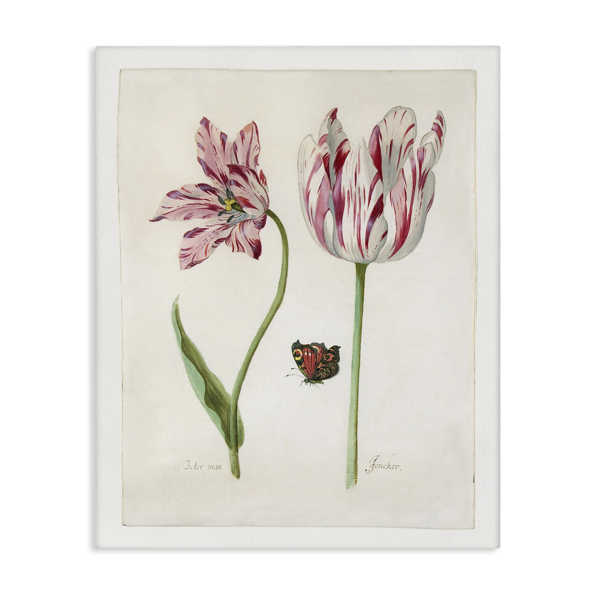 Stupell Industries Classic Tulip & Butterfly Plants & Flowers Painting Wrapped Canvas Art Print Wall Art, 16 x 20