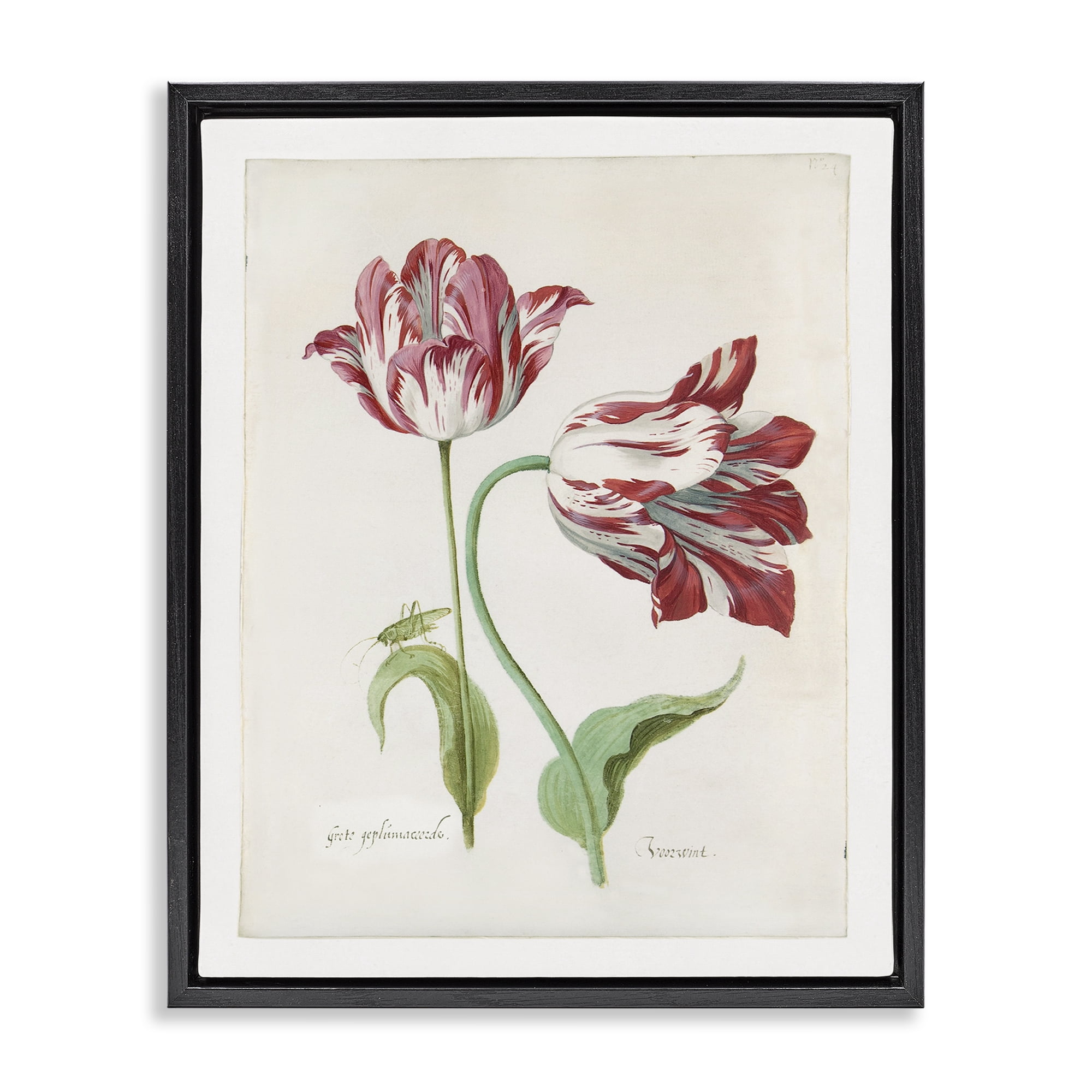 Stupell Industries Classic Tulip Study Plants & Flowers Painting Black Floater Framed Canvas Art Print Wall Art, 17 x 21