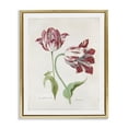 thumbnail image 1 of Stupell Industries Classic Tulip Study Plants & Flowers Painting Gold Floater Framed Canvas Art Print Wall Art, 17 x 21, 1 of 10