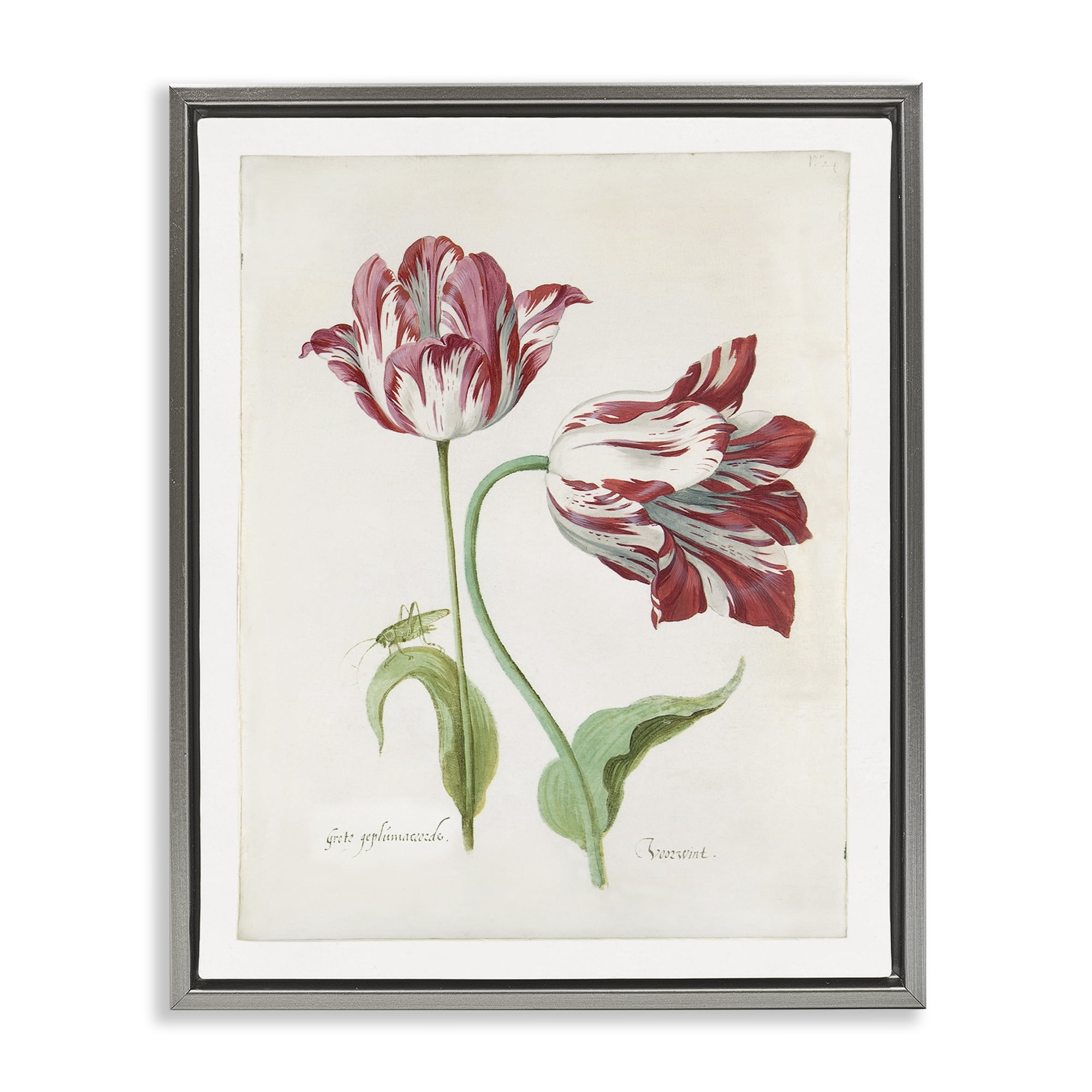 Stupell Industries Classic Tulip Study Plants & Flowers Painting Gray Floater Framed Canvas Art Print Wall Art, 17 x 21
