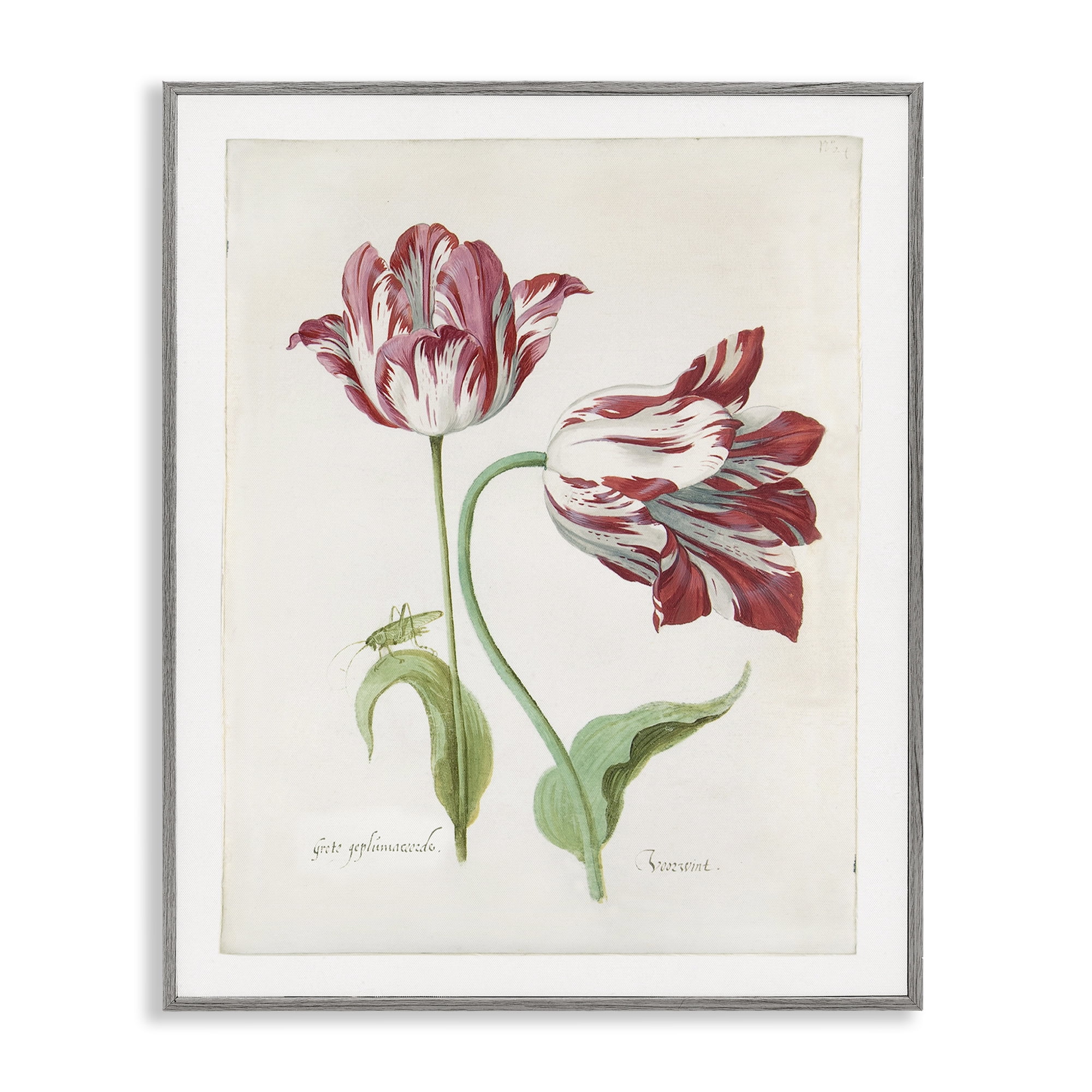 Stupell Industries Classic Tulip Study Plants & Flowers Painting Gray Framed Art Print Wall Art, 11 x 14