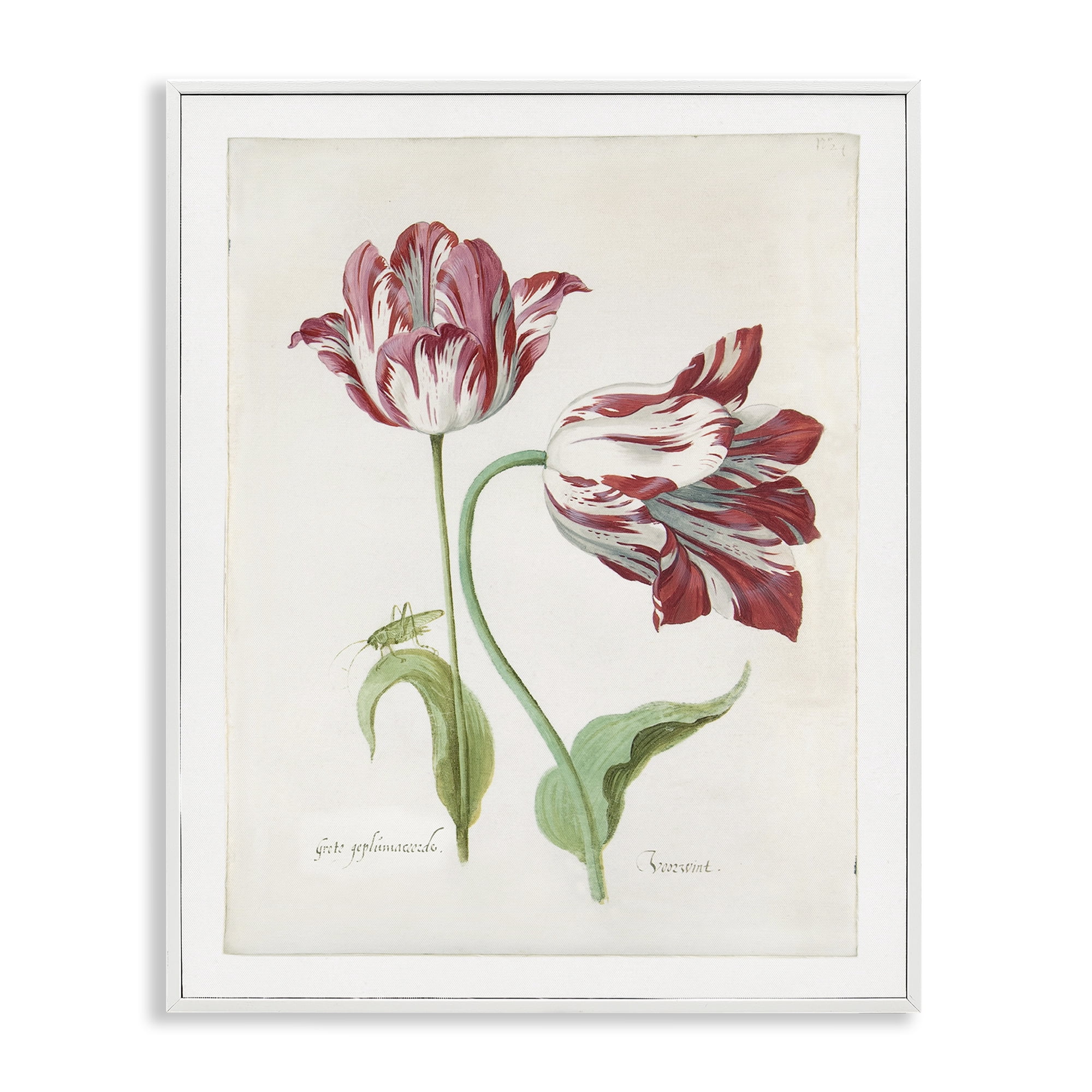 Stupell Industries Classic Tulip Study Plants & Flowers Painting White Framed Art Print Wall Art, 11 x 14