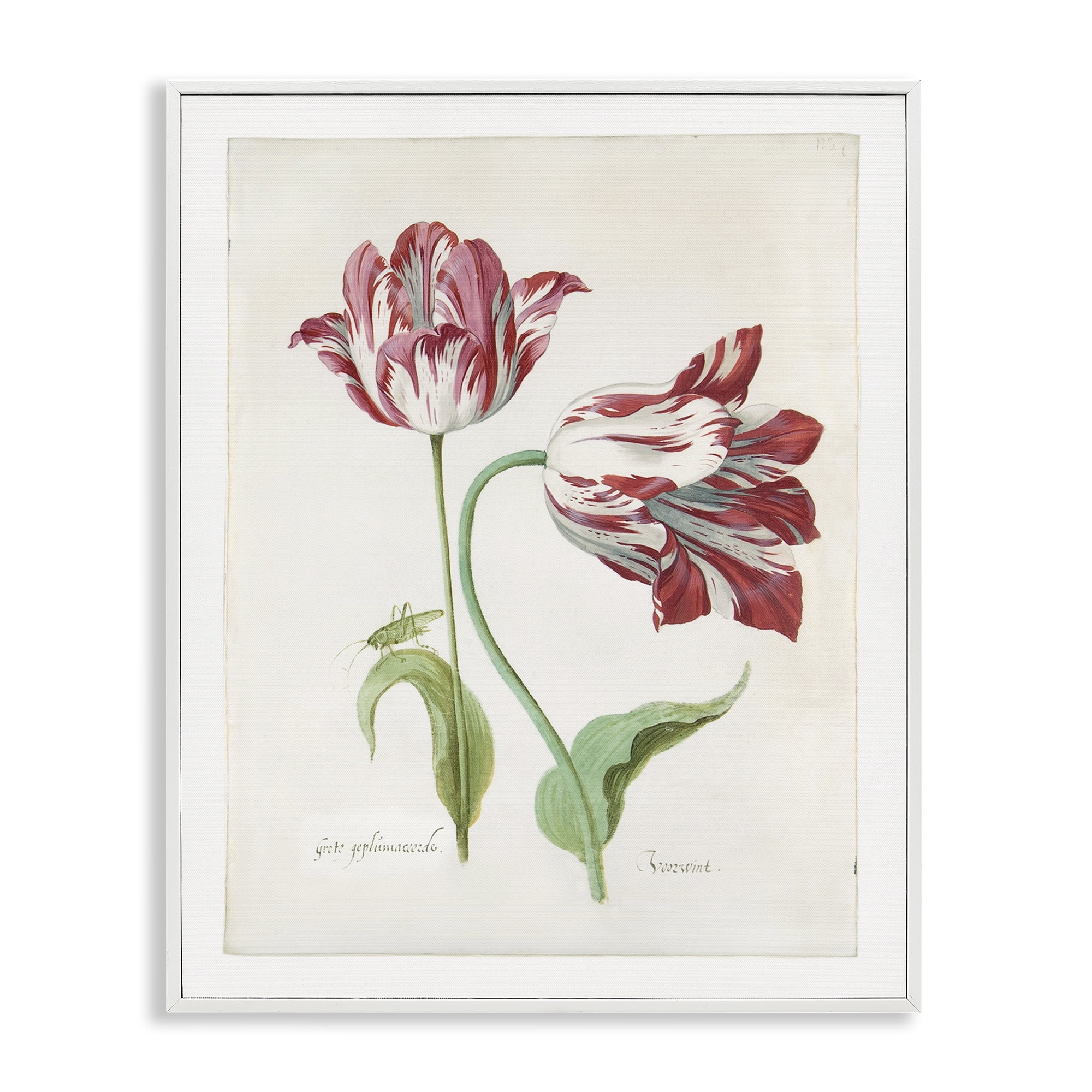 Stupell Industries Classic Tulip Study Plants & Flowers Painting White Framed Art Print Wall Art, 16 x 20