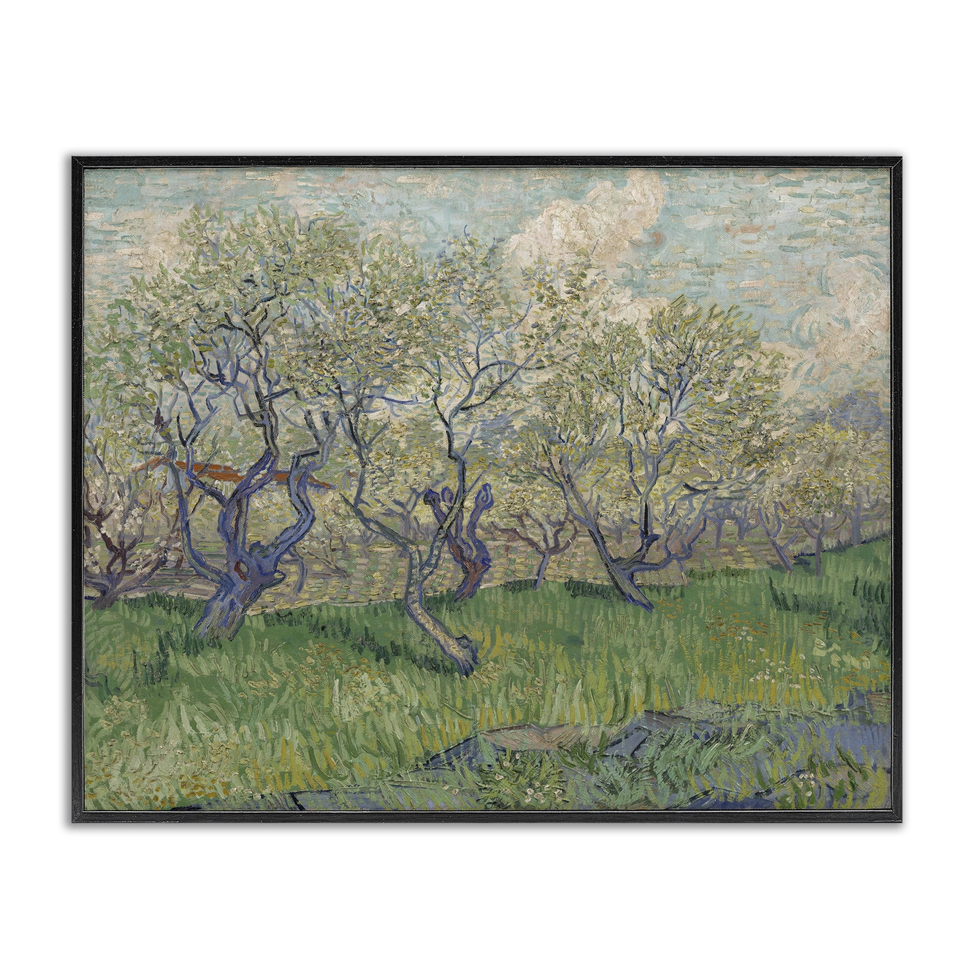 Stupell Industries Classic Van Gogh Blossoming Orchard Landscape & Nature Painting Black Framed Art Print Wall Art, 20 x 16