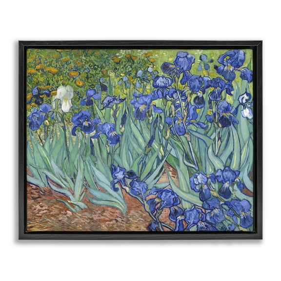 Stupell Industries Classic Van Gogh Irises Plants & Flowers Painting Black Floater Framed Canvas Art Print Wall Art, 21 x 17