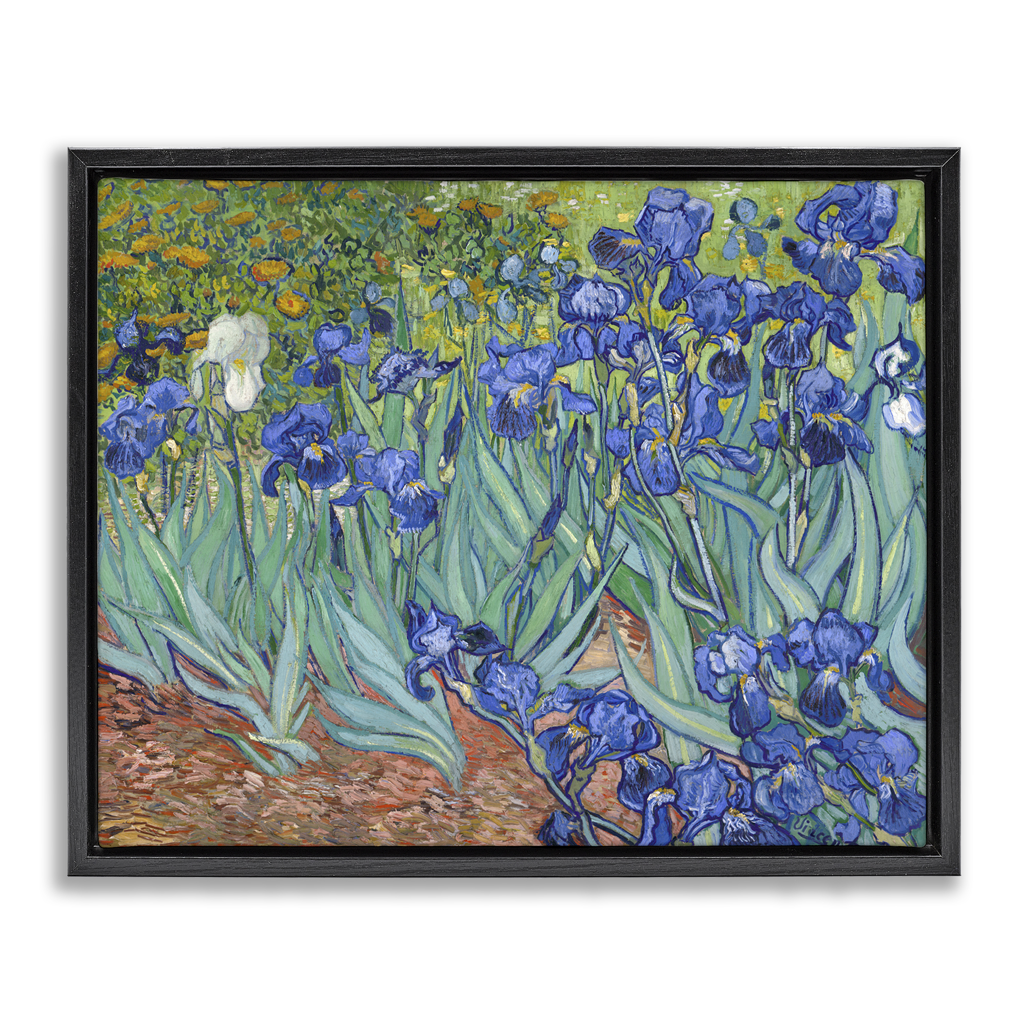 Stupell Industries Classic Van Gogh Irises Plants & Flowers Painting Black Floater Framed Canvas Art Print Wall Art, 31 x 25