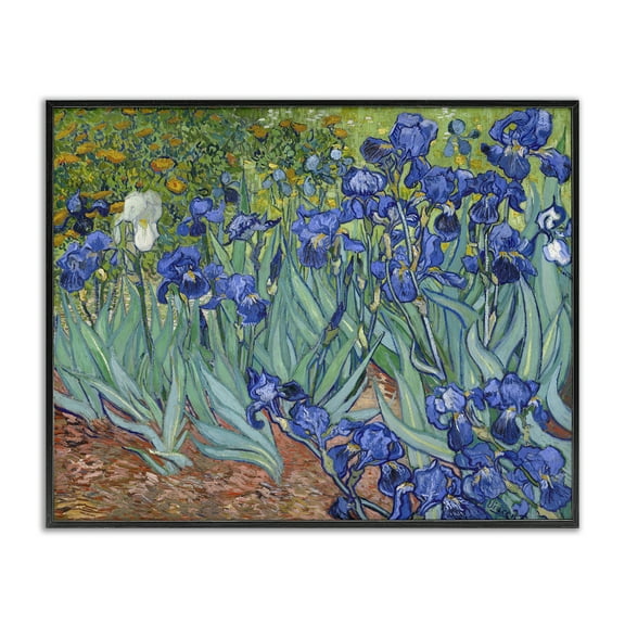 Stupell Industries Classic Van Gogh Irises Plants & Flowers Painting Black Framed Art Print Wall Art, 14 x 11