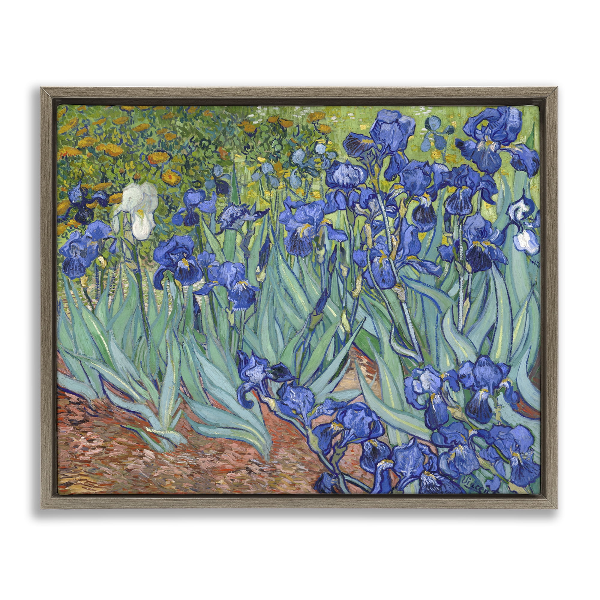 Stupell Industries Classic Van Gogh Irises Plants & Flowers Painting Brown Floater Framed Canvas Art Print Wall Art, 21 x 17