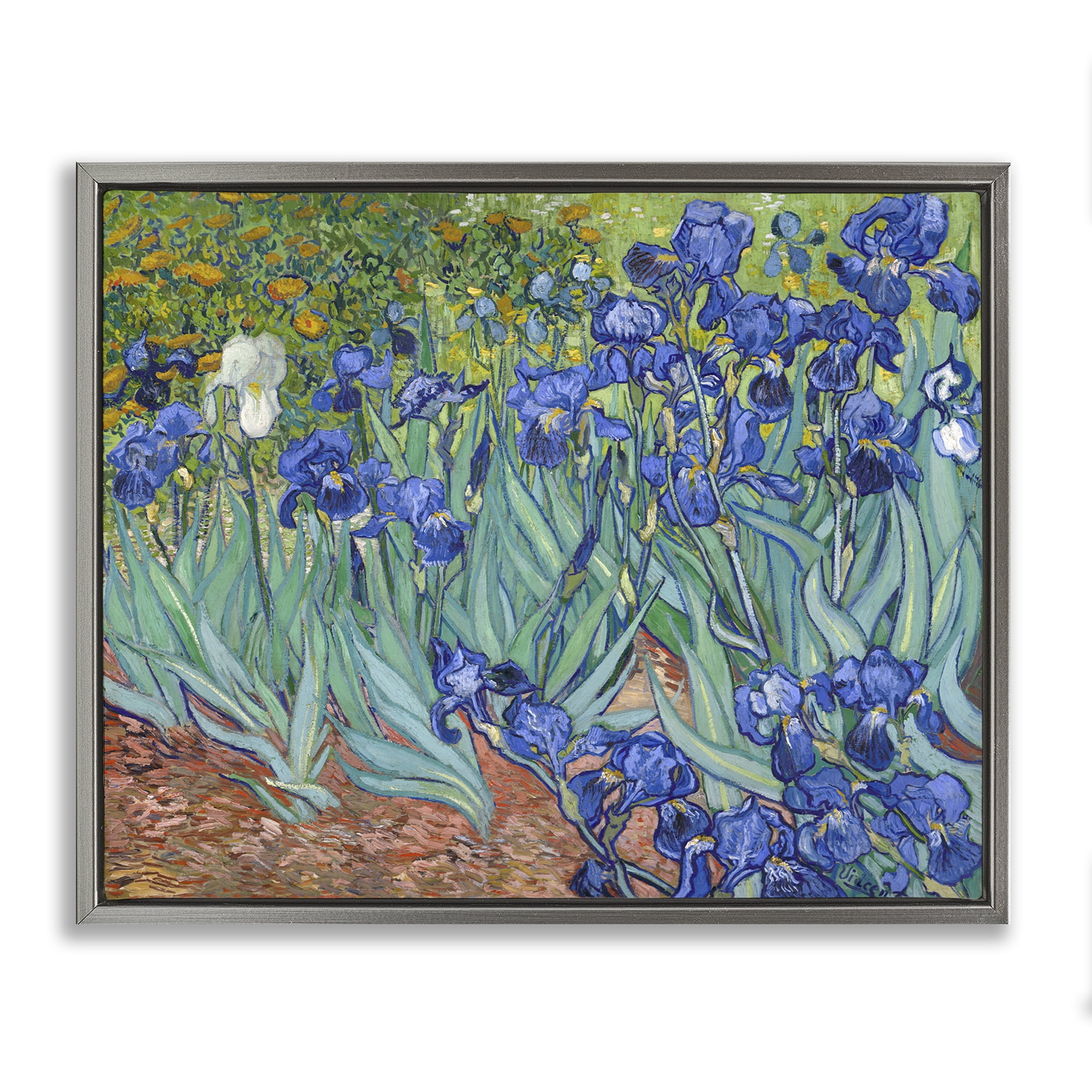 Stupell Industries Classic Van Gogh Irises Plants & Flowers Painting Gray Floater Framed Canvas Art Print Wall Art, 21 x 17
