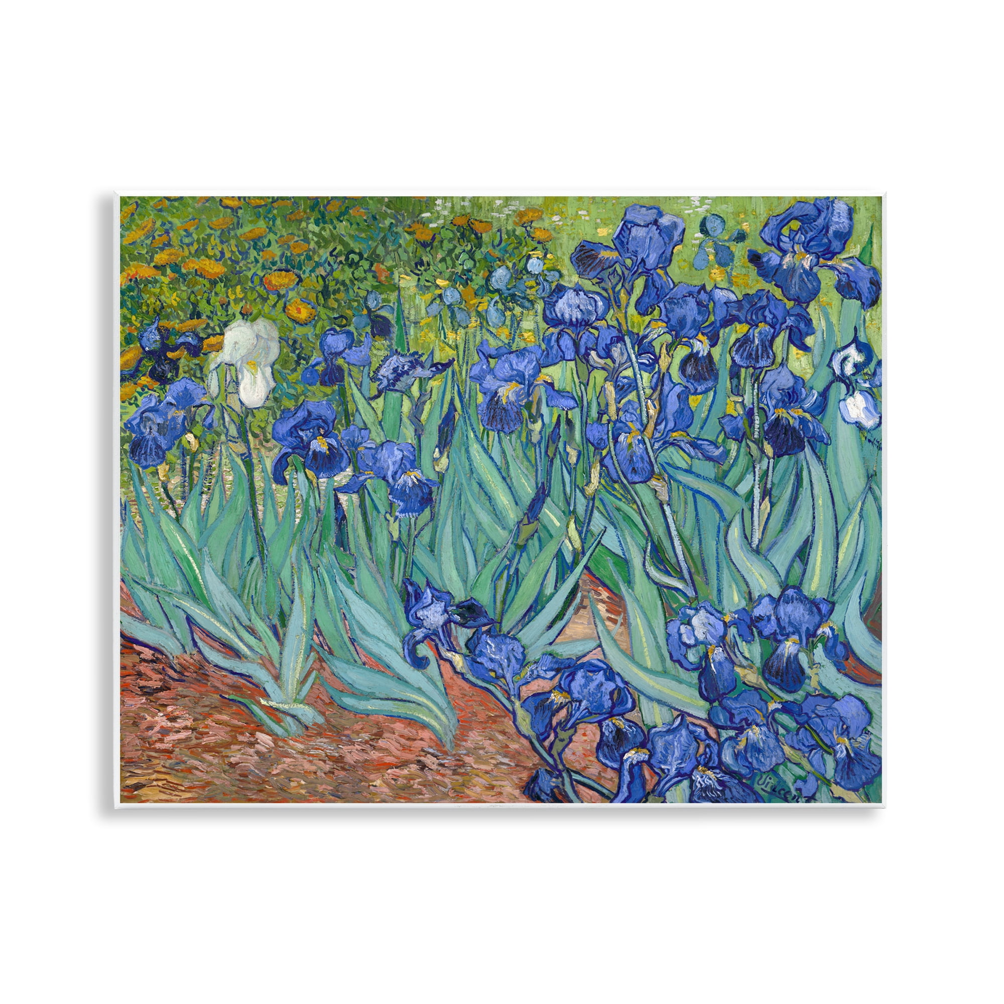 Stupell Industries Classic Van Gogh Irises Plants & Flowers Painting Unframed Art Print Wall Art, 14 x 11