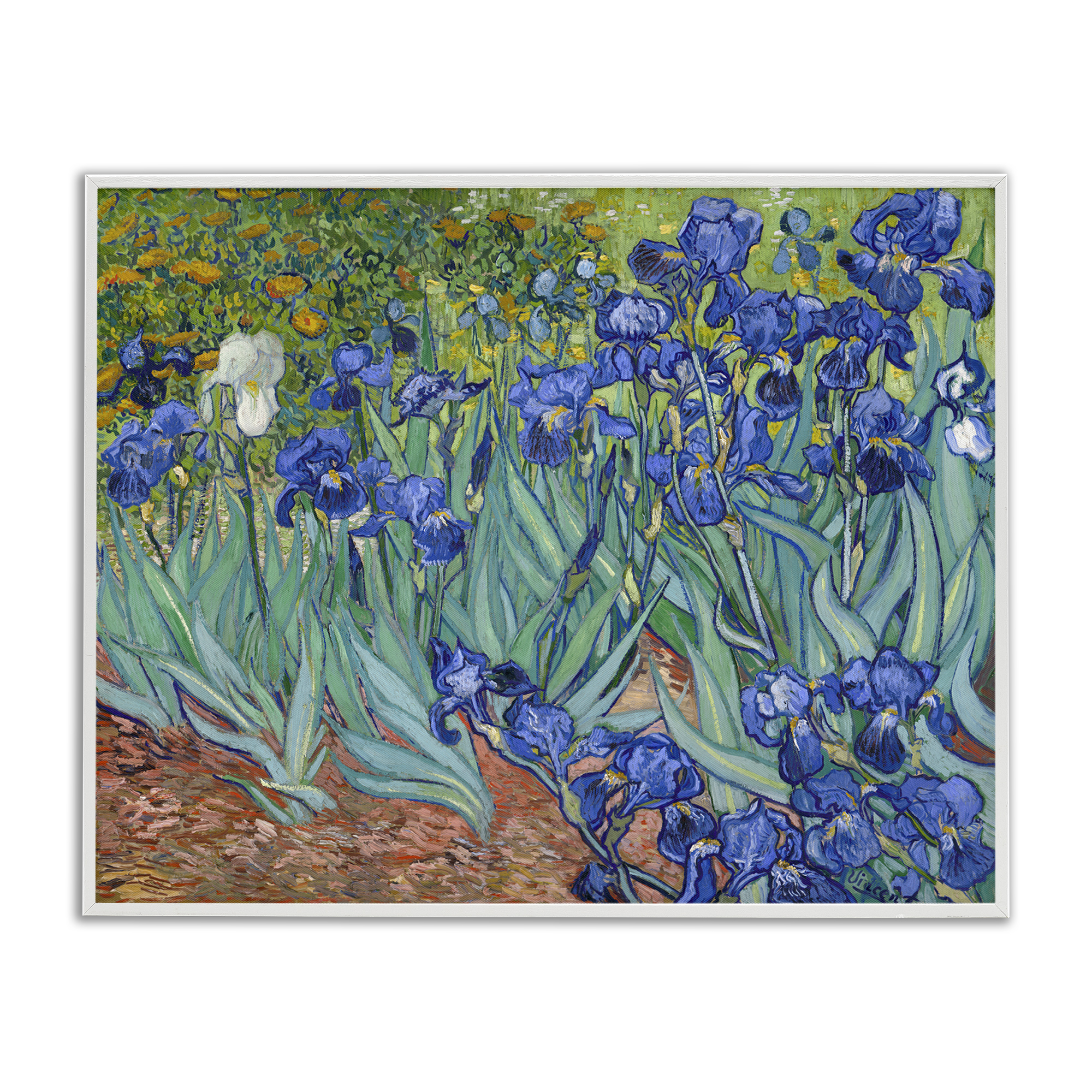 Stupell Industries Classic Van Gogh Irises Plants & Flowers Painting White Framed Art Print Wall Art, 20 x 16