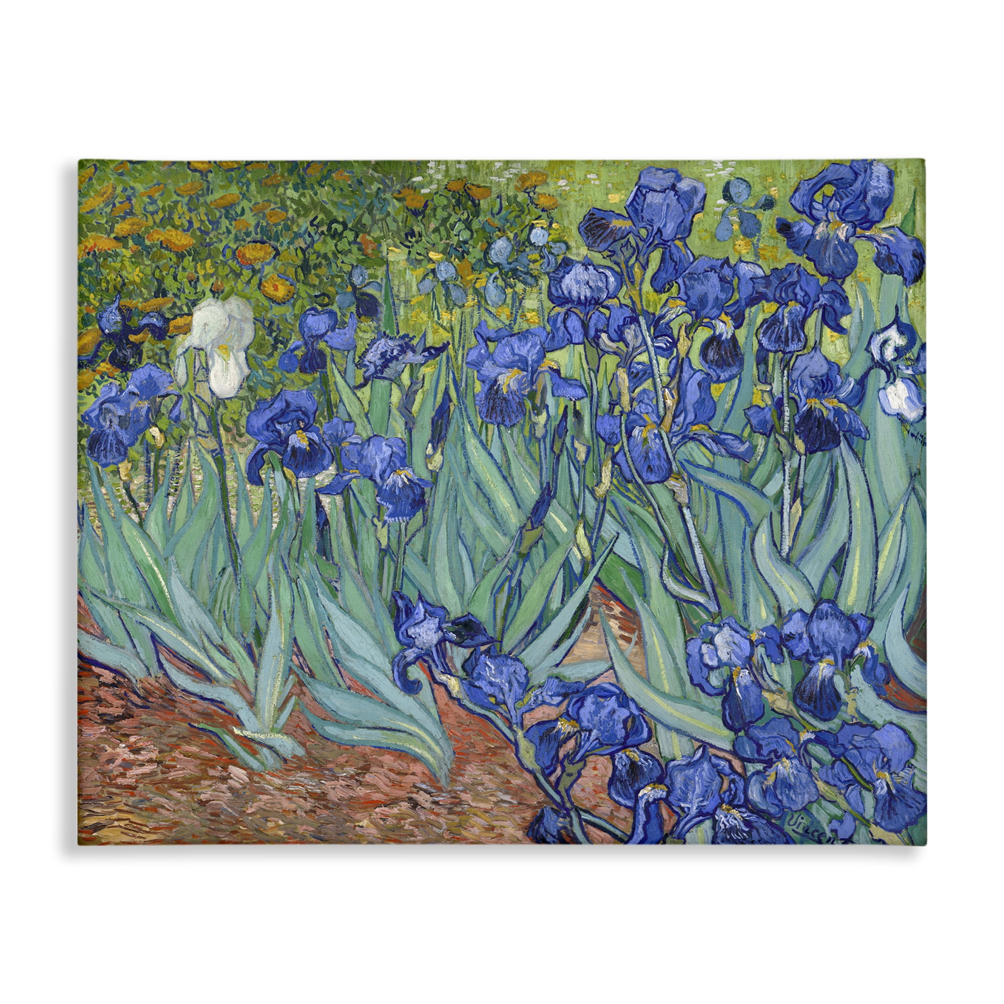 Stupell Industries Classic Van Gogh Irises Plants & Flowers Painting Wrapped Canvas Art Print Wall Art, 20 x 16