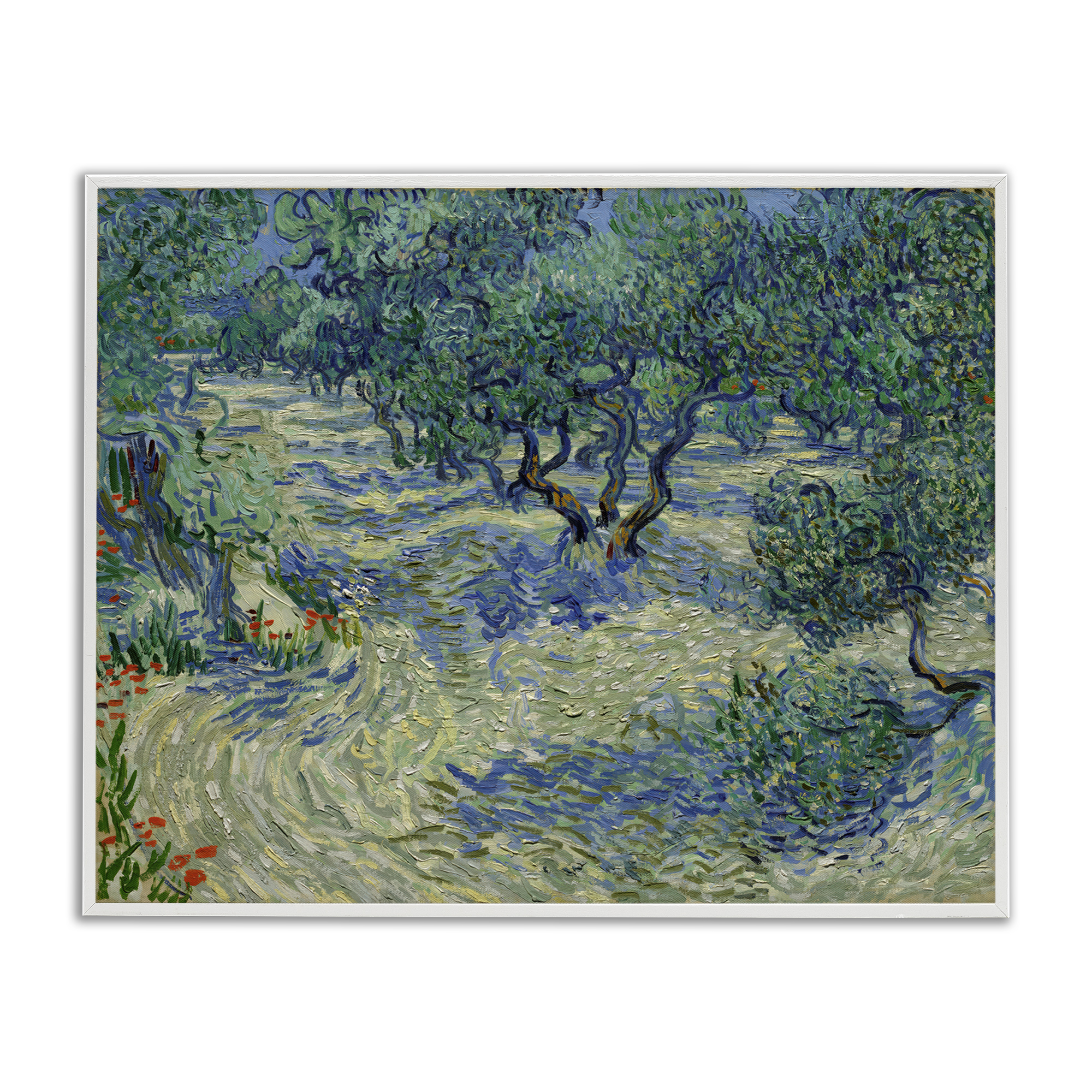 Stupell Industries Classic Van Gogh Olive Orchard Landscape & Nature Painting White Framed Art Print Wall Art, 14 x 11