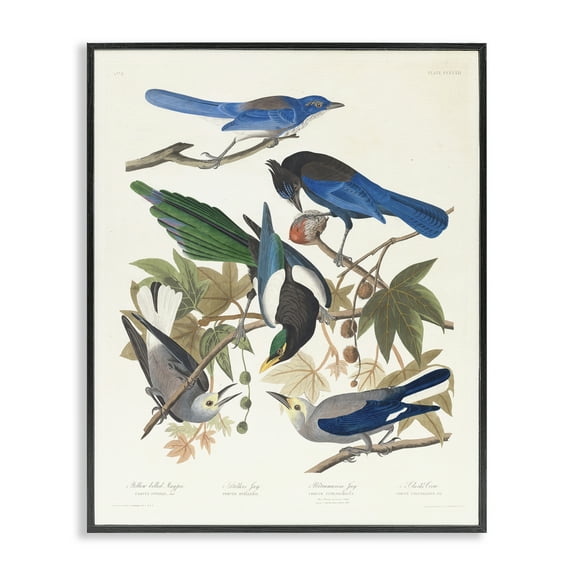 Stupell Industries Classic Yellow Billed Magpie Animals Painting Black Framed Art Print Wall Art, 11 x 14