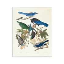 Stupell Industries Classic Yellow Billed Magpie Animals Painting Unframed Art Print Wall Art, 11 x 14