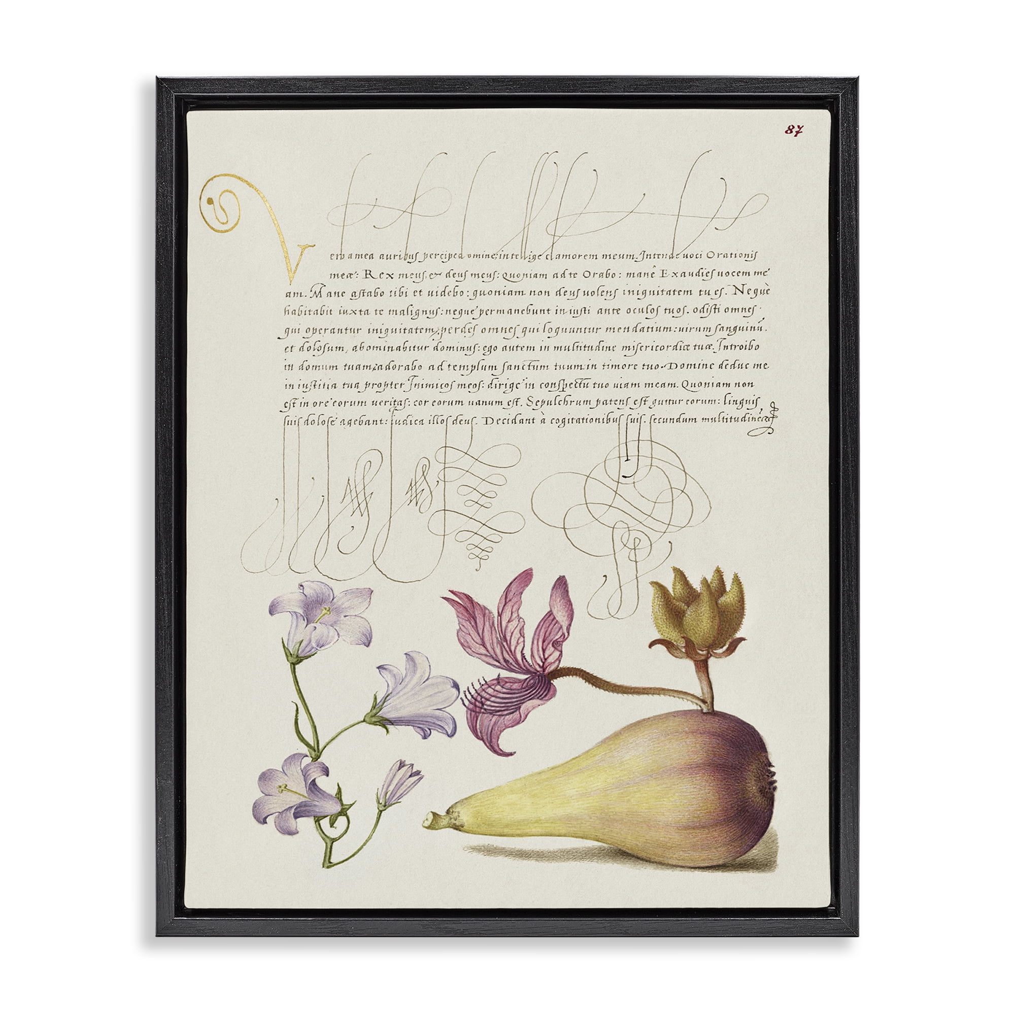 Stupell Industries Classical Cottage Plants Text & Numbers Painting Black Floater Framed Canvas Art Print Wall Art, 25 x 31