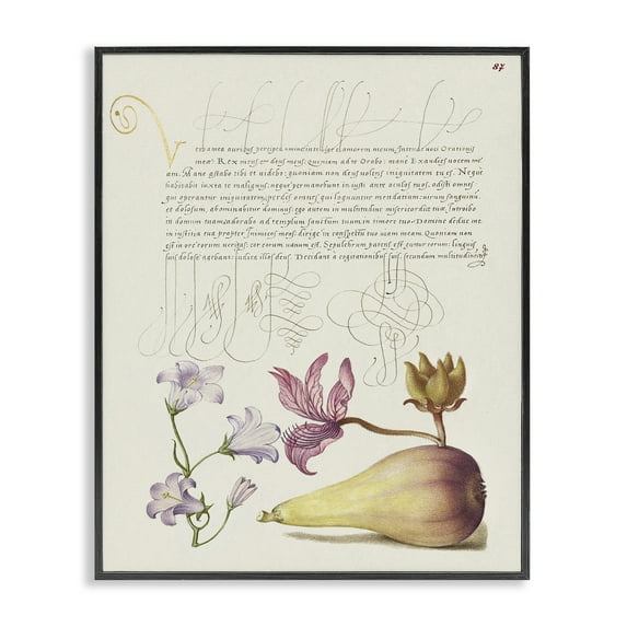 Stupell Industries Classical Cottage Plants Text & Numbers Painting Black Framed Art Print Wall Art, 24 x 30