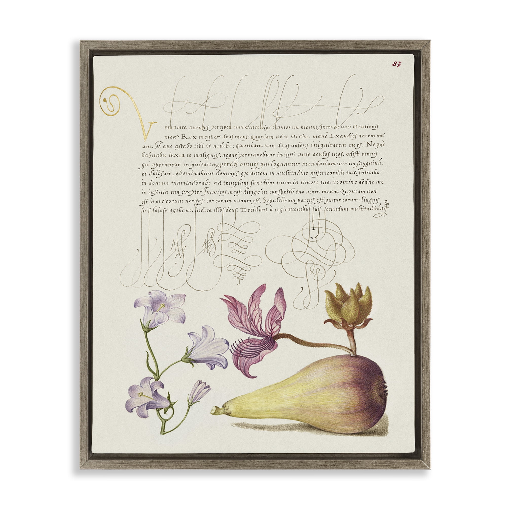 Stupell Industries Classical Cottage Plants Text & Numbers Painting Brown Floater Framed Canvas Art Print Wall Art, 17 x 21
