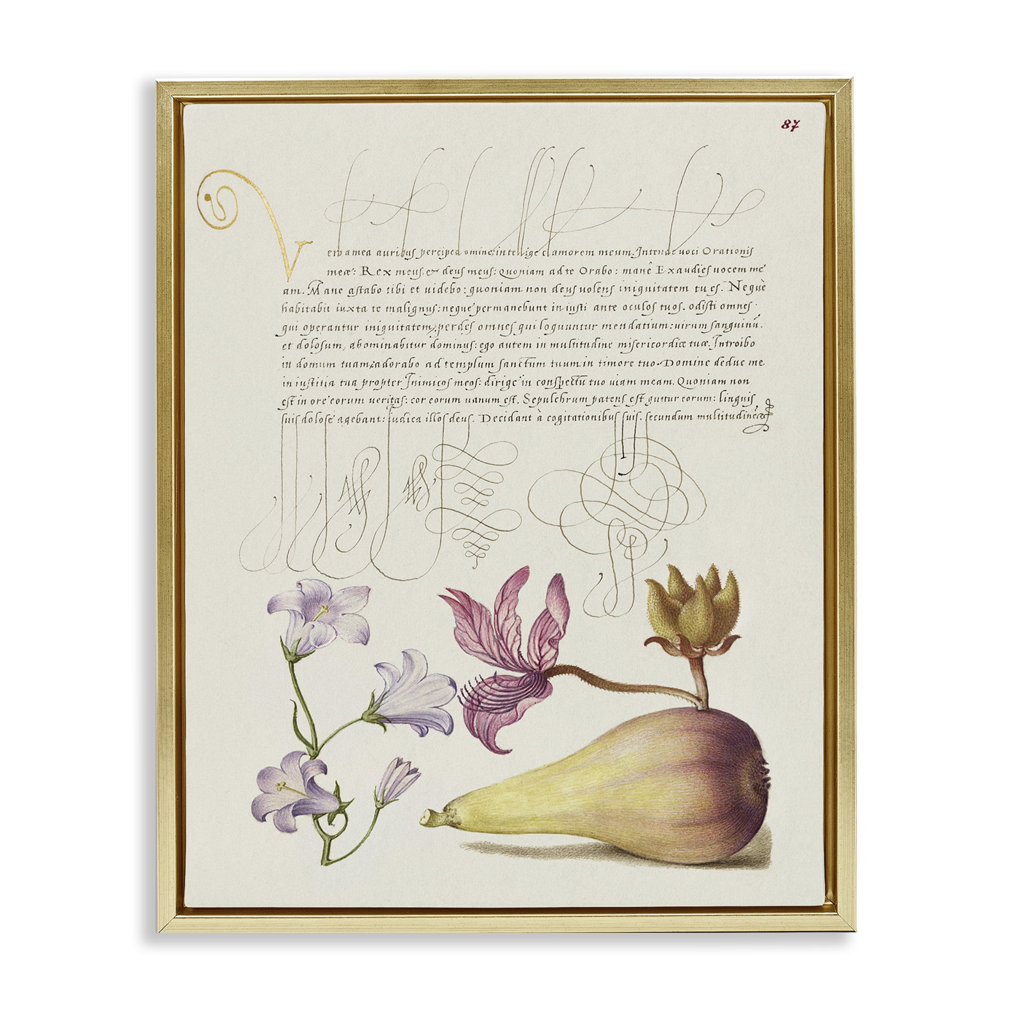 Stupell Industries Classical Cottage Plants Text & Numbers Painting Gold Floater Framed Canvas Art Print Wall Art, 25 x 31