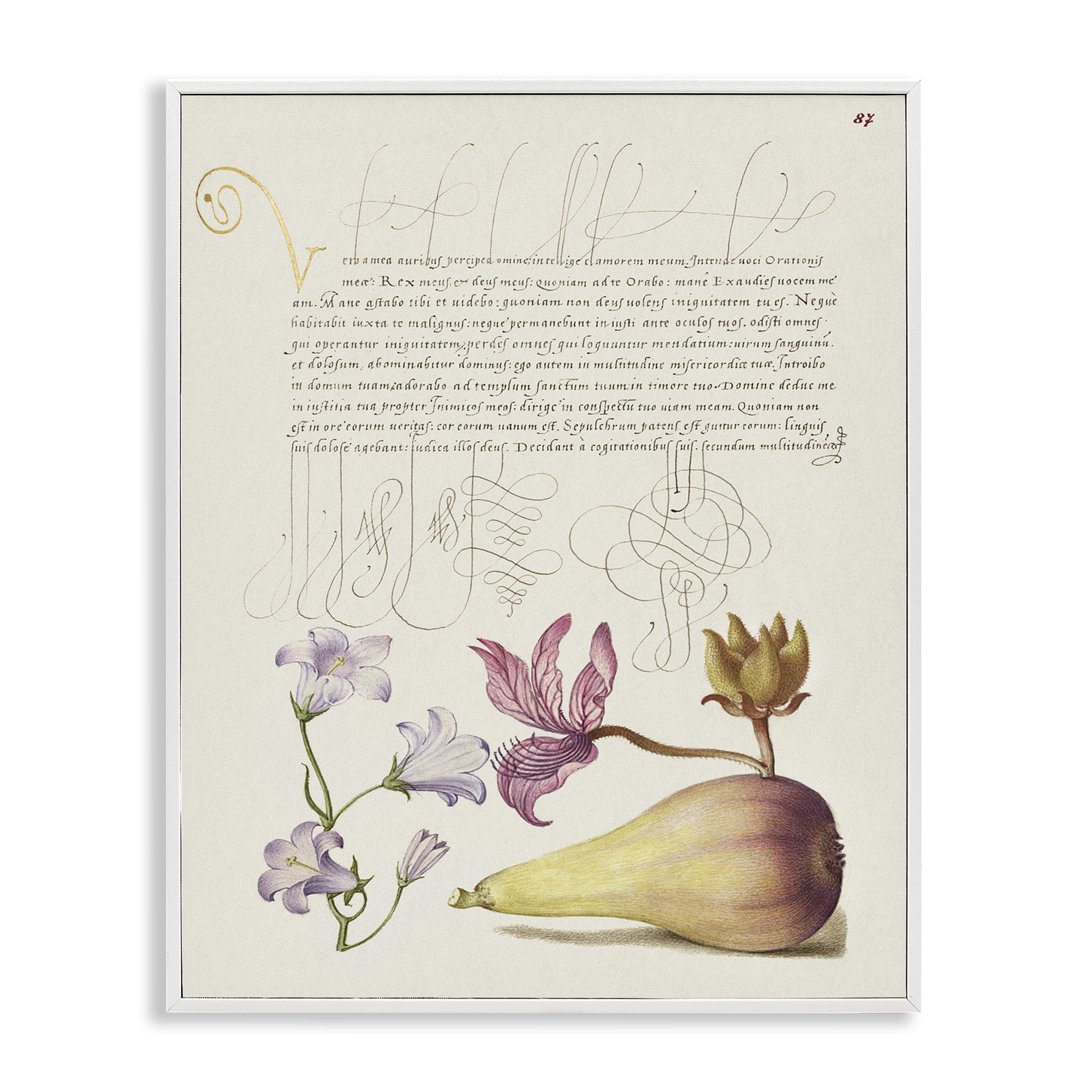 Stupell Industries Classical Cottage Plants Text & Numbers Painting White Framed Art Print Wall Art, 11 x 14