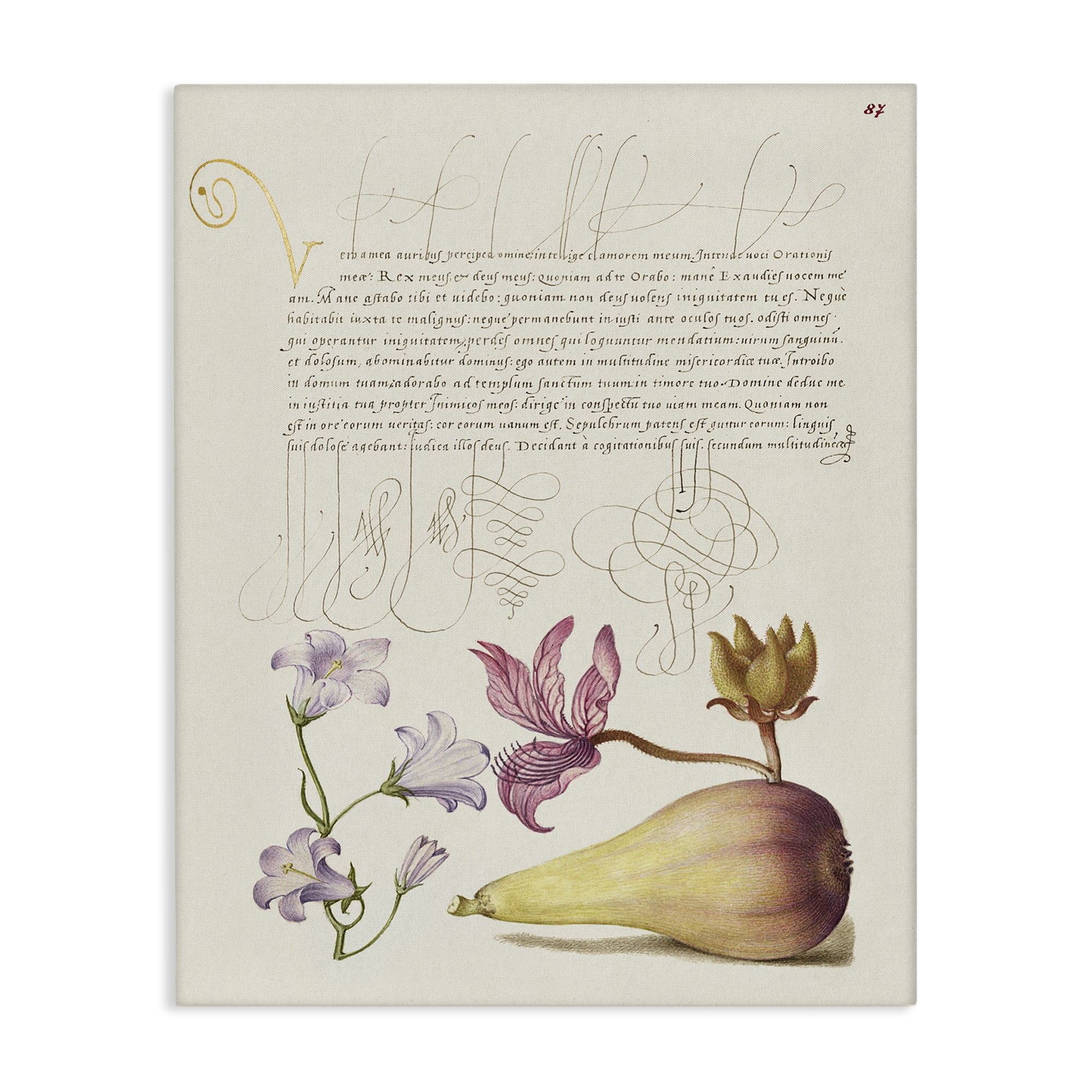 Stupell Industries Classical Cottage Plants Text & Numbers Painting Wrapped Canvas Art Print Wall Art, 24 x 30