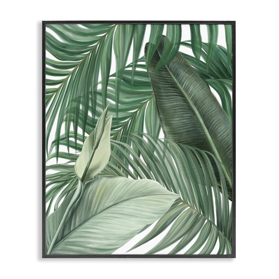 Stupell Industries Clean Tropics Layered Leaves Black Framed Giclee Art design by Unknown, 14 x 11