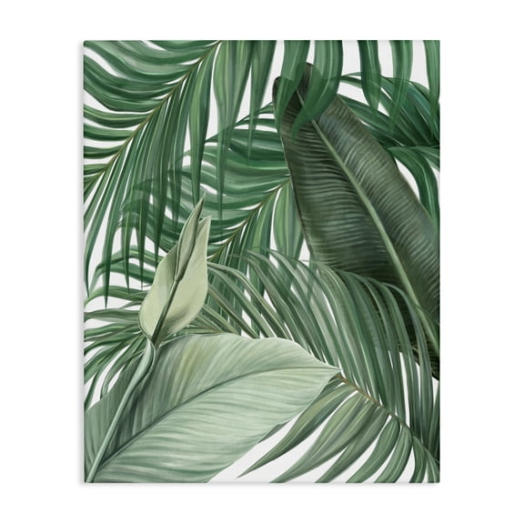 Stupell Industries Clean Tropics Layered Leaves Canvas Wall Art design by Unknown, 30 x 24
